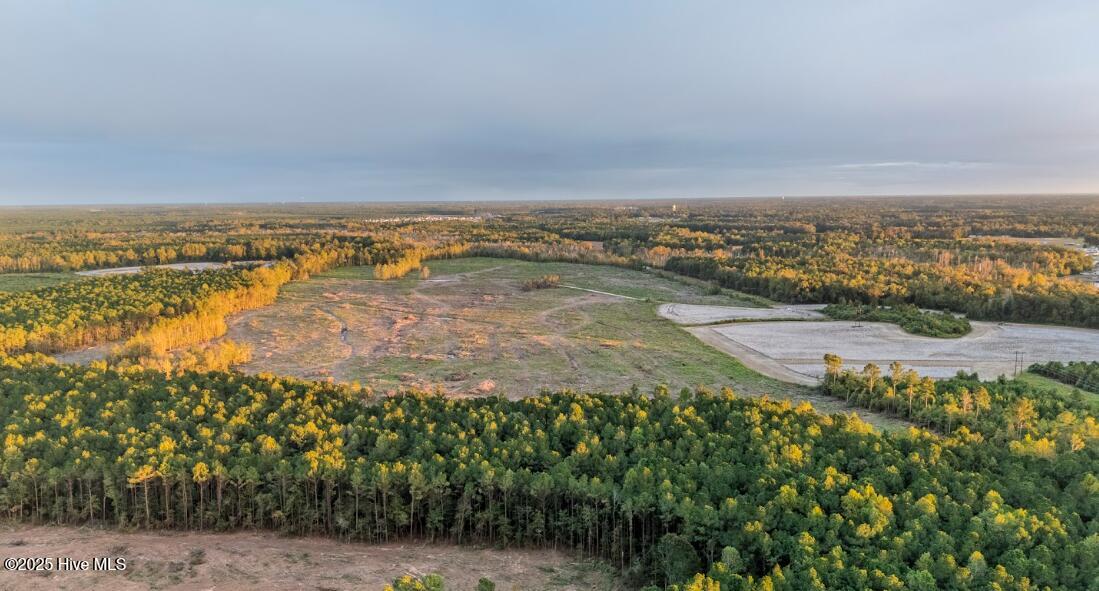 100538697 | Photo 10