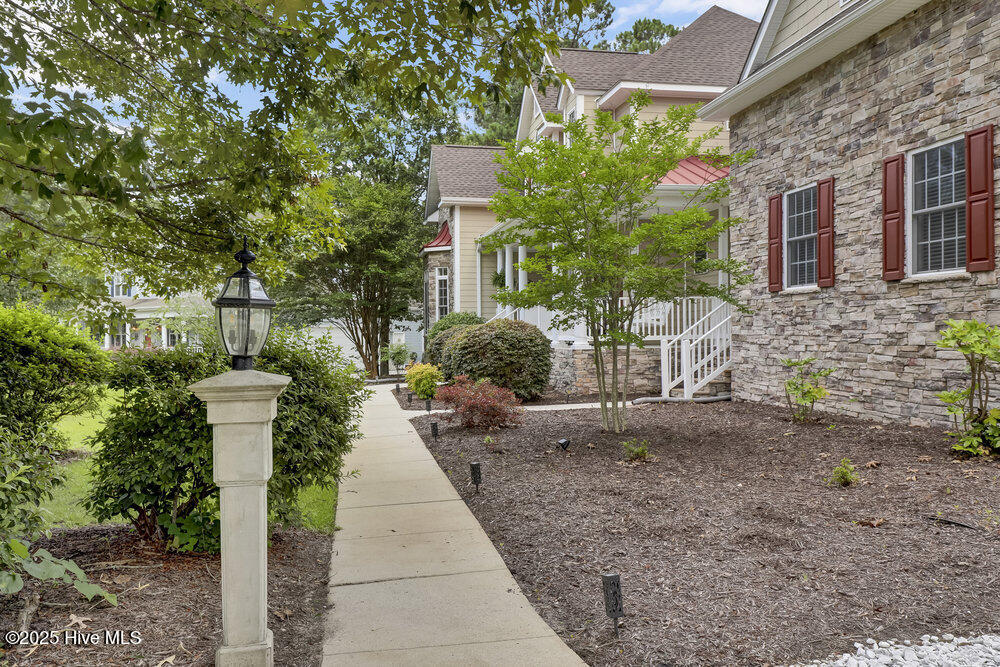 100513085 | Photo 49