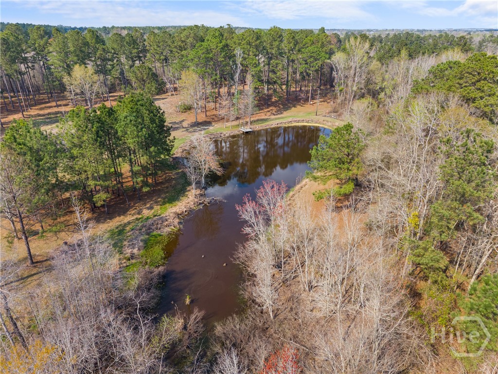 3127 Buttermilk, Sylvania, GA, 30467