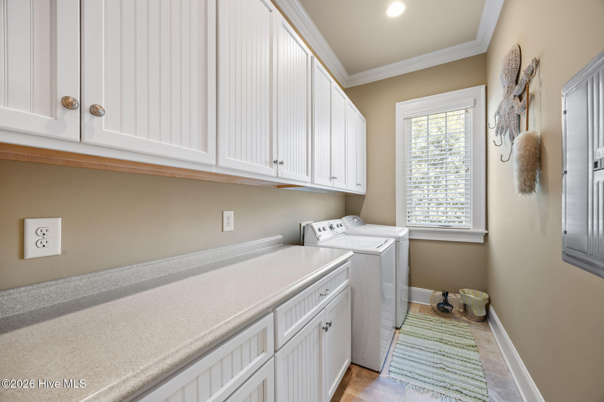 100564617 | Photo 32