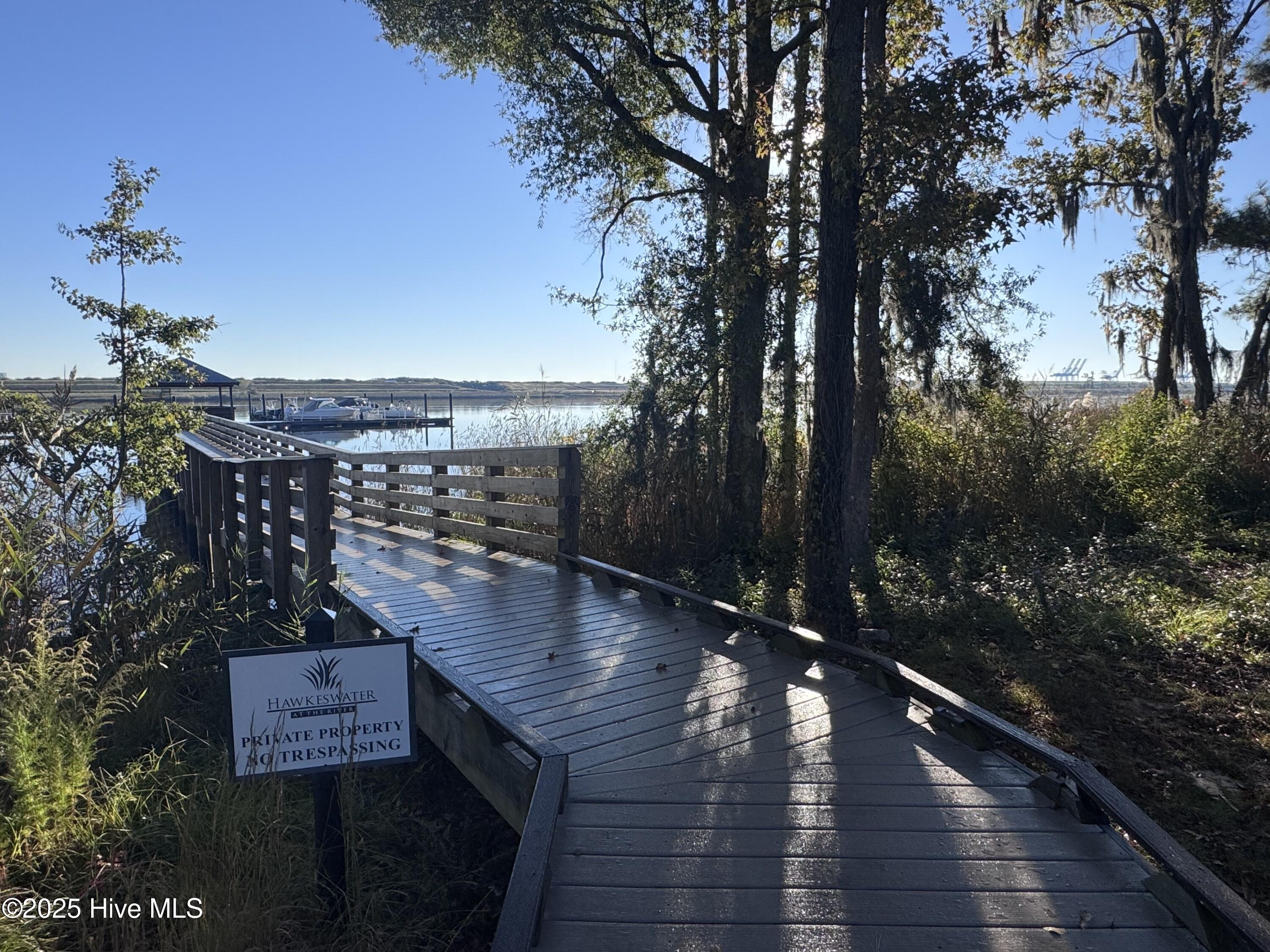 100539282 | Photo 37