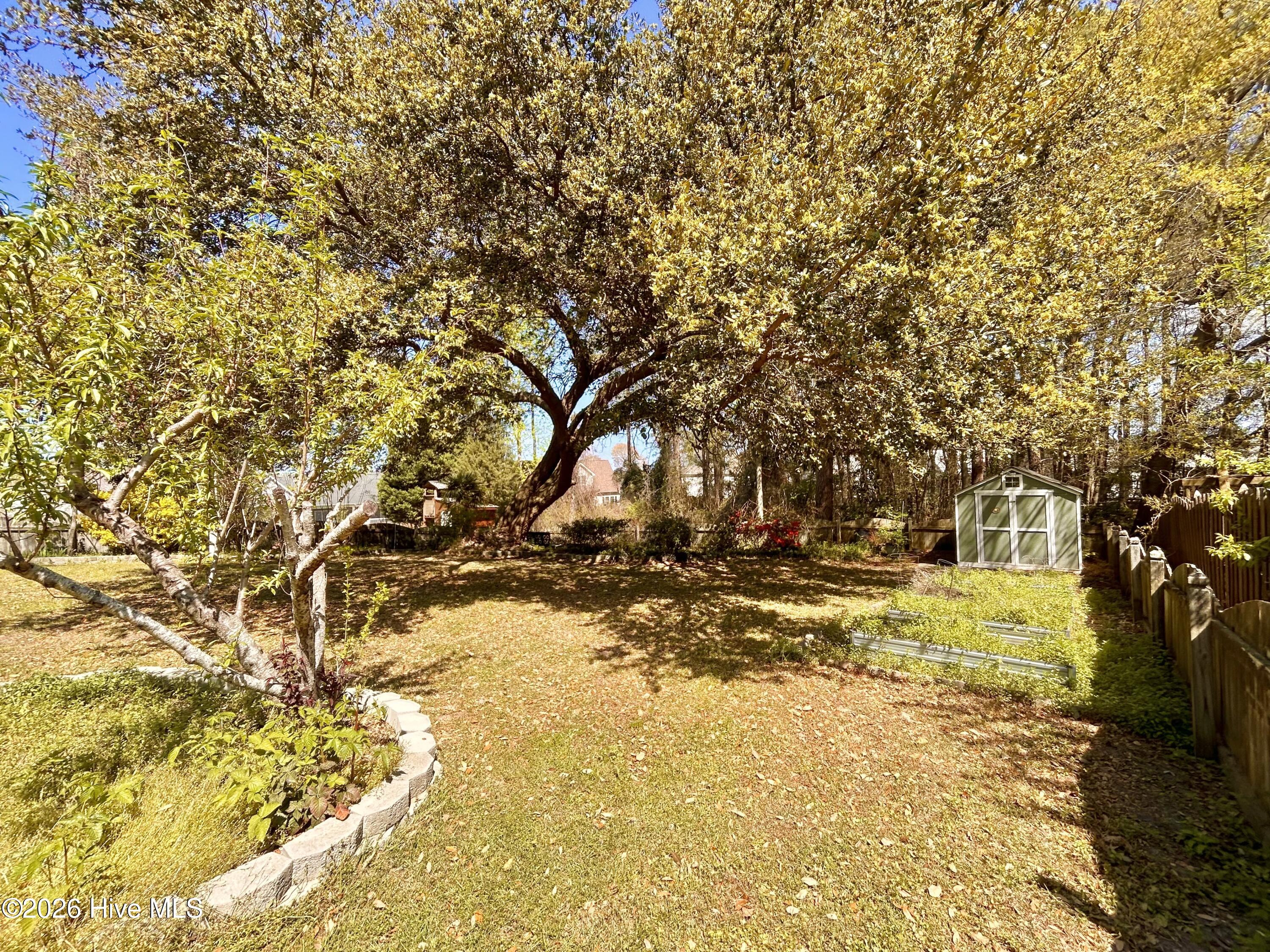 100564341 | Photo 49