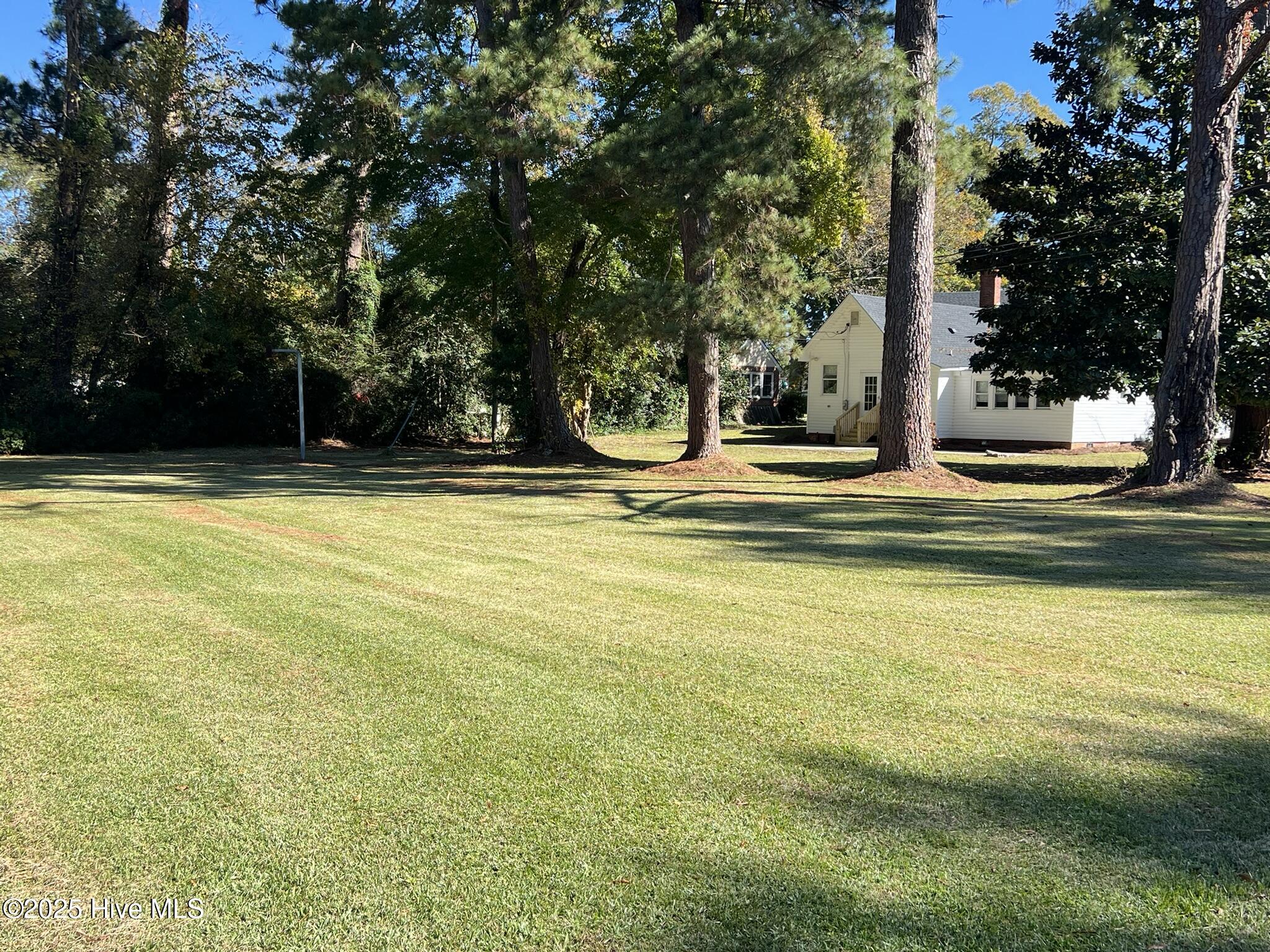 100539928 | Photo 12