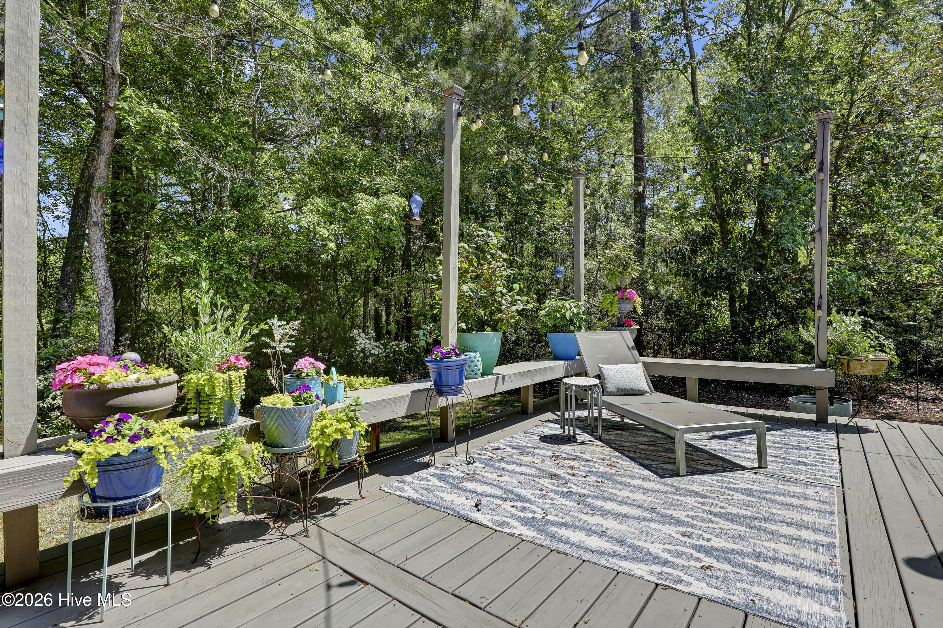 100570699 | Photo 40