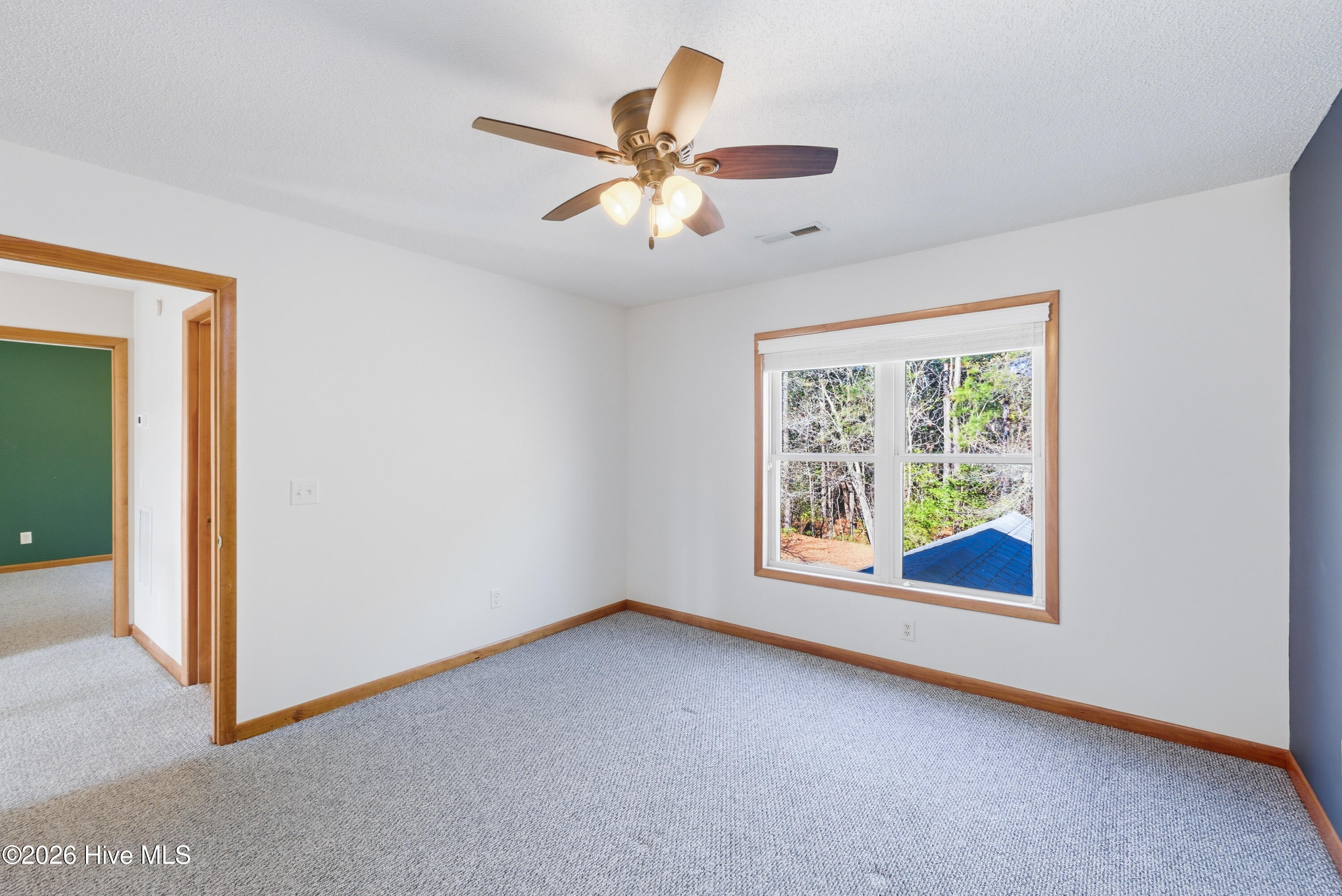 100558981 | Photo 15