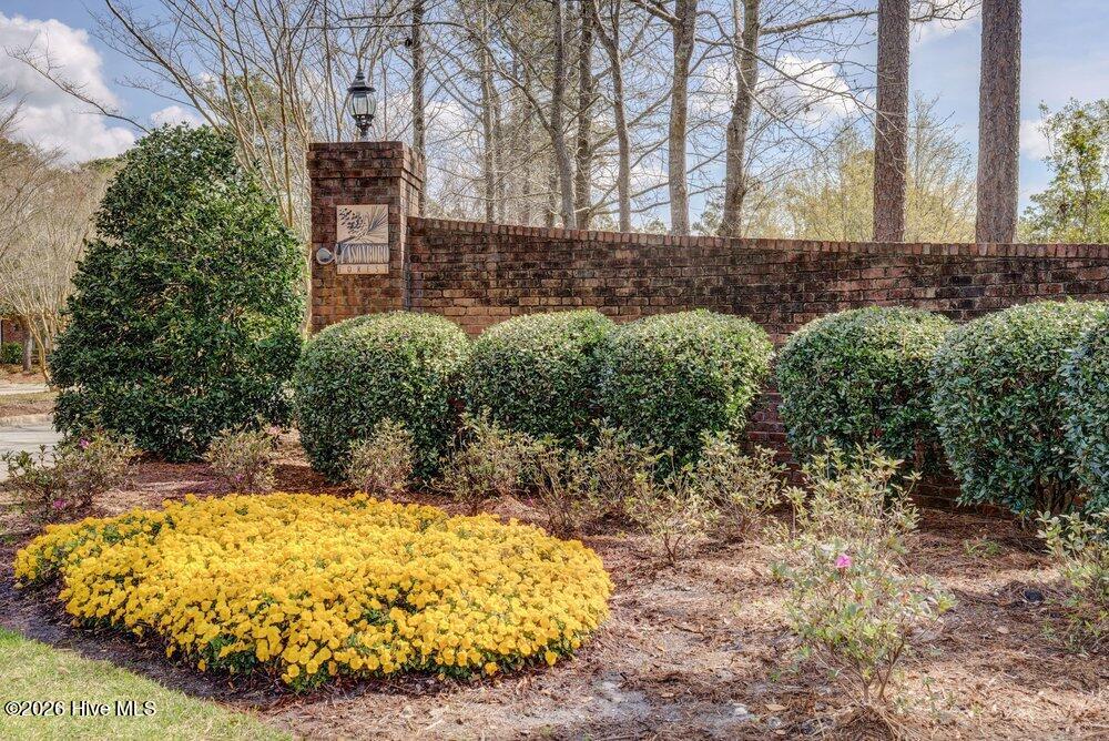 100552674 | Photo 44