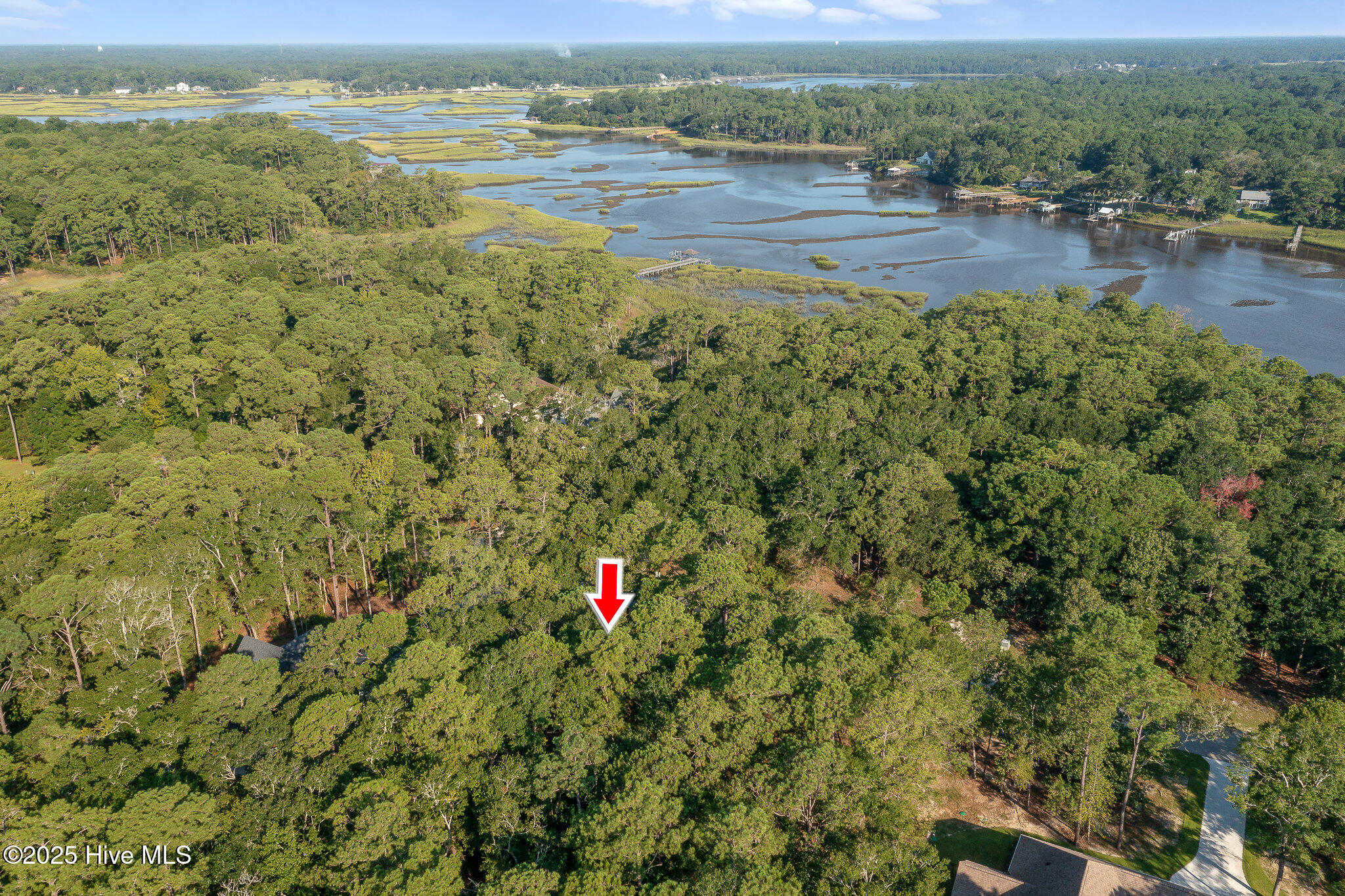 100526036 | Photo 14