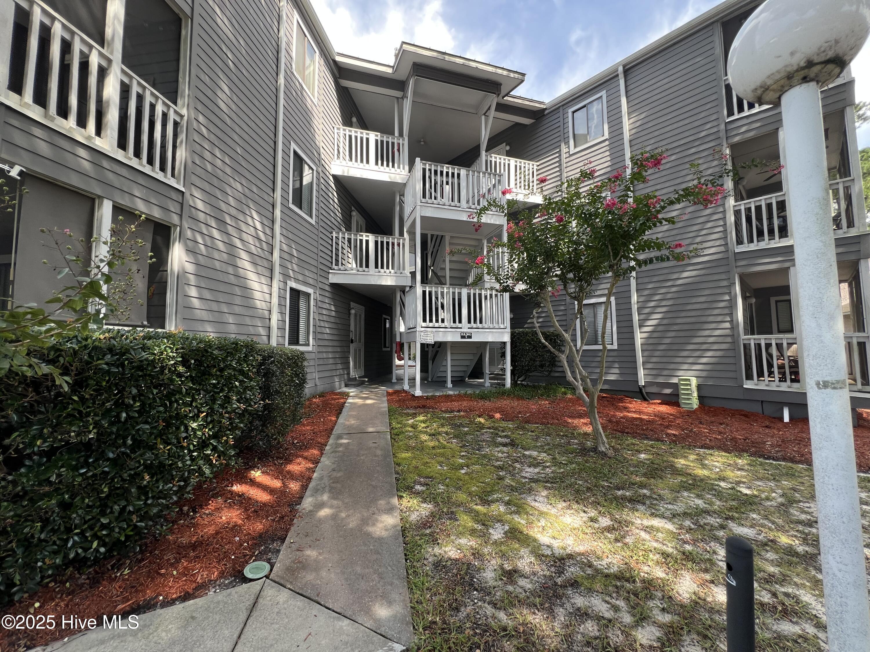 100527241 | Photo 53