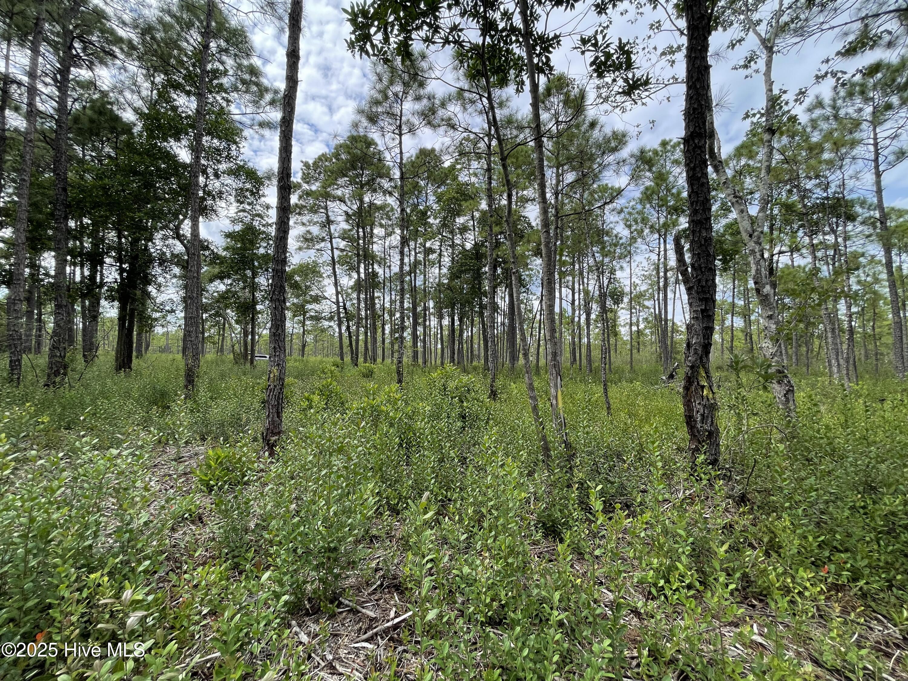 100527891 | Photo 18