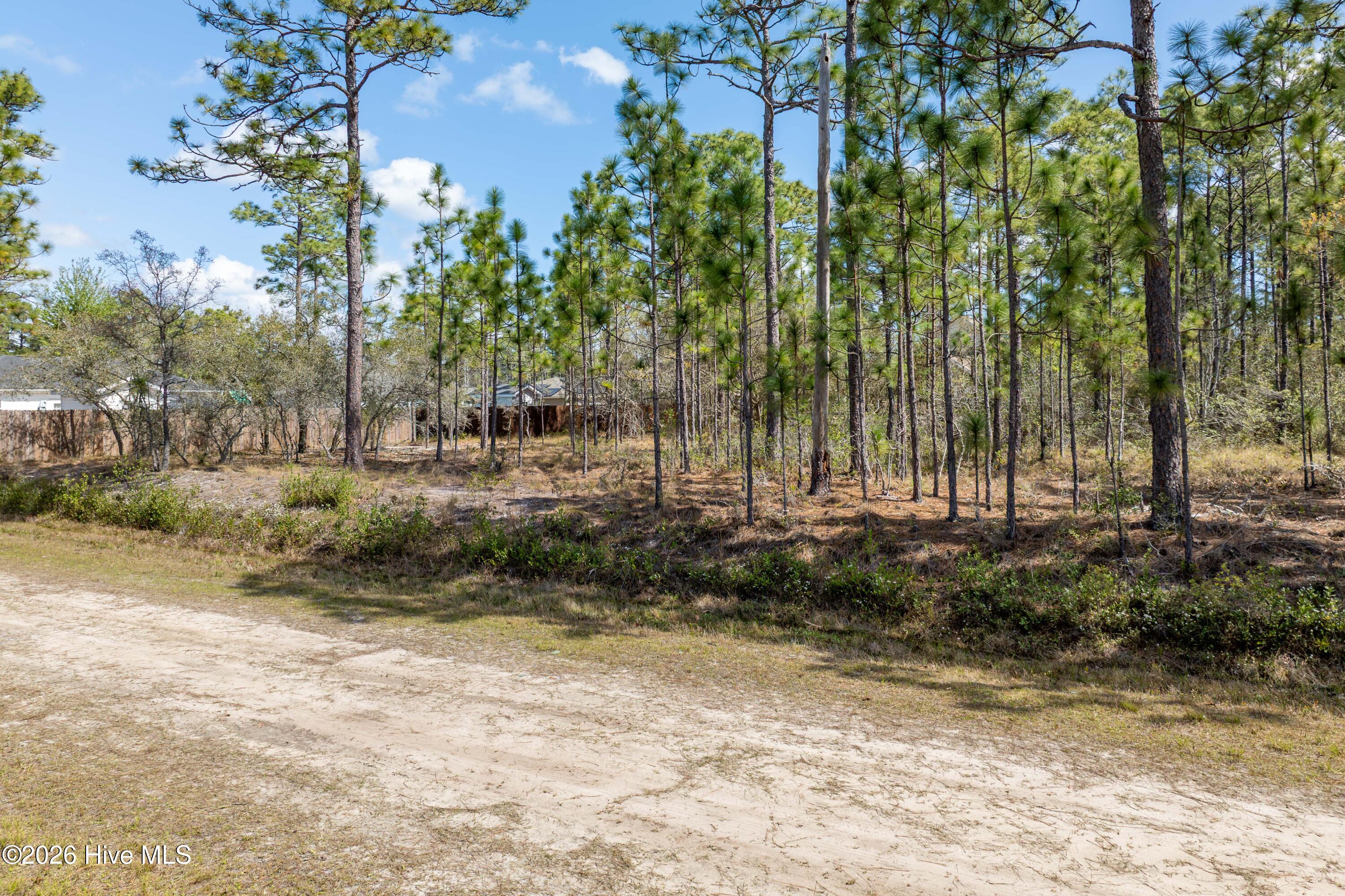 100563736 | Photo 13