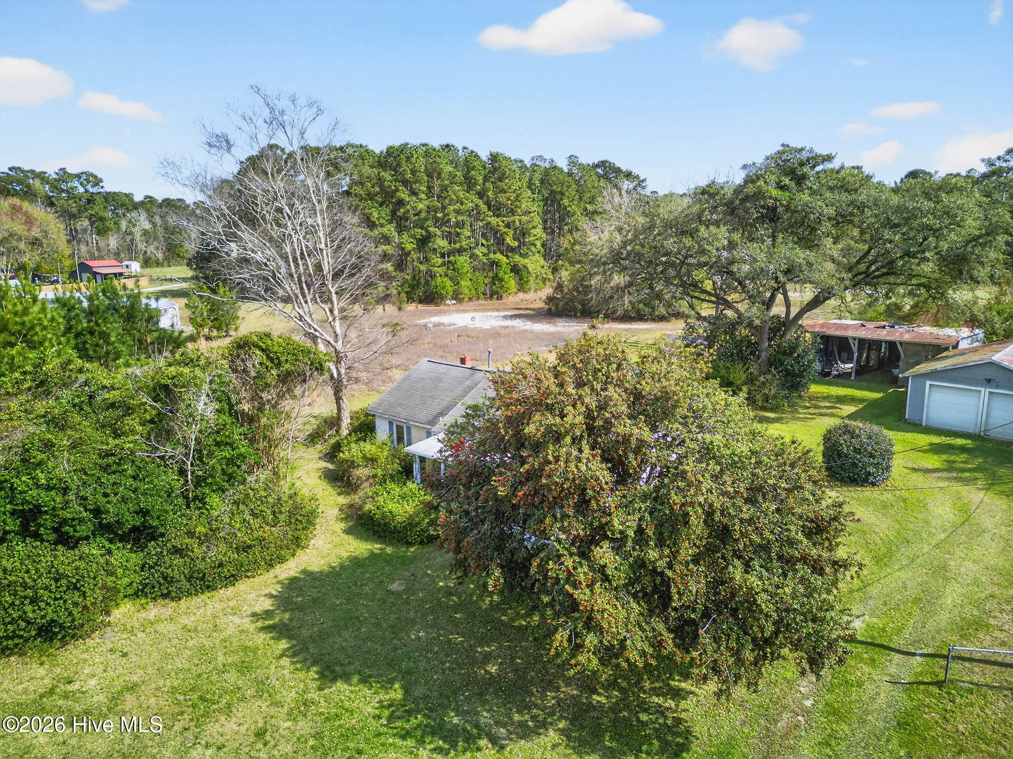 100560729 | Photo 13