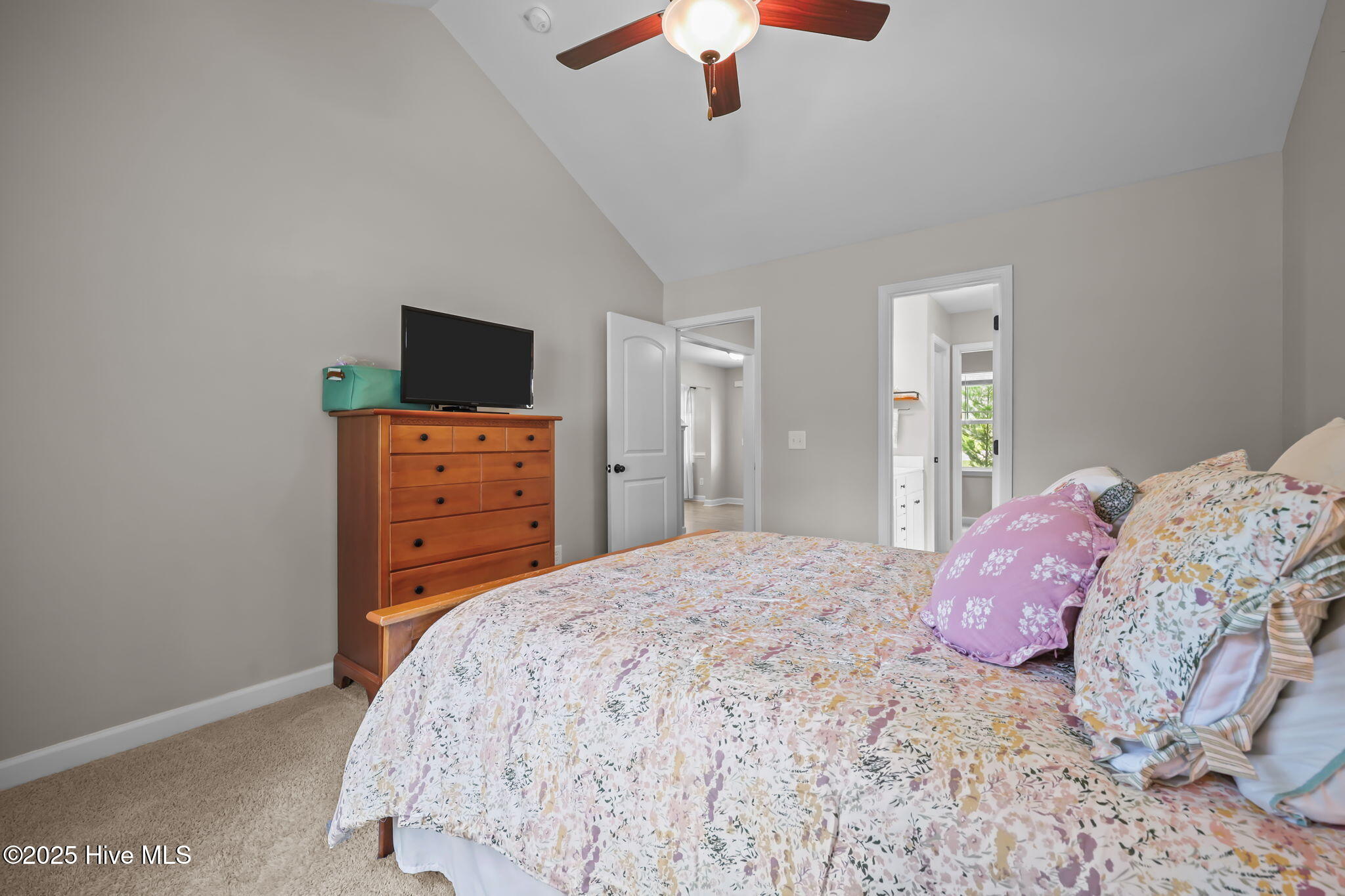 100525463 | Photo 18