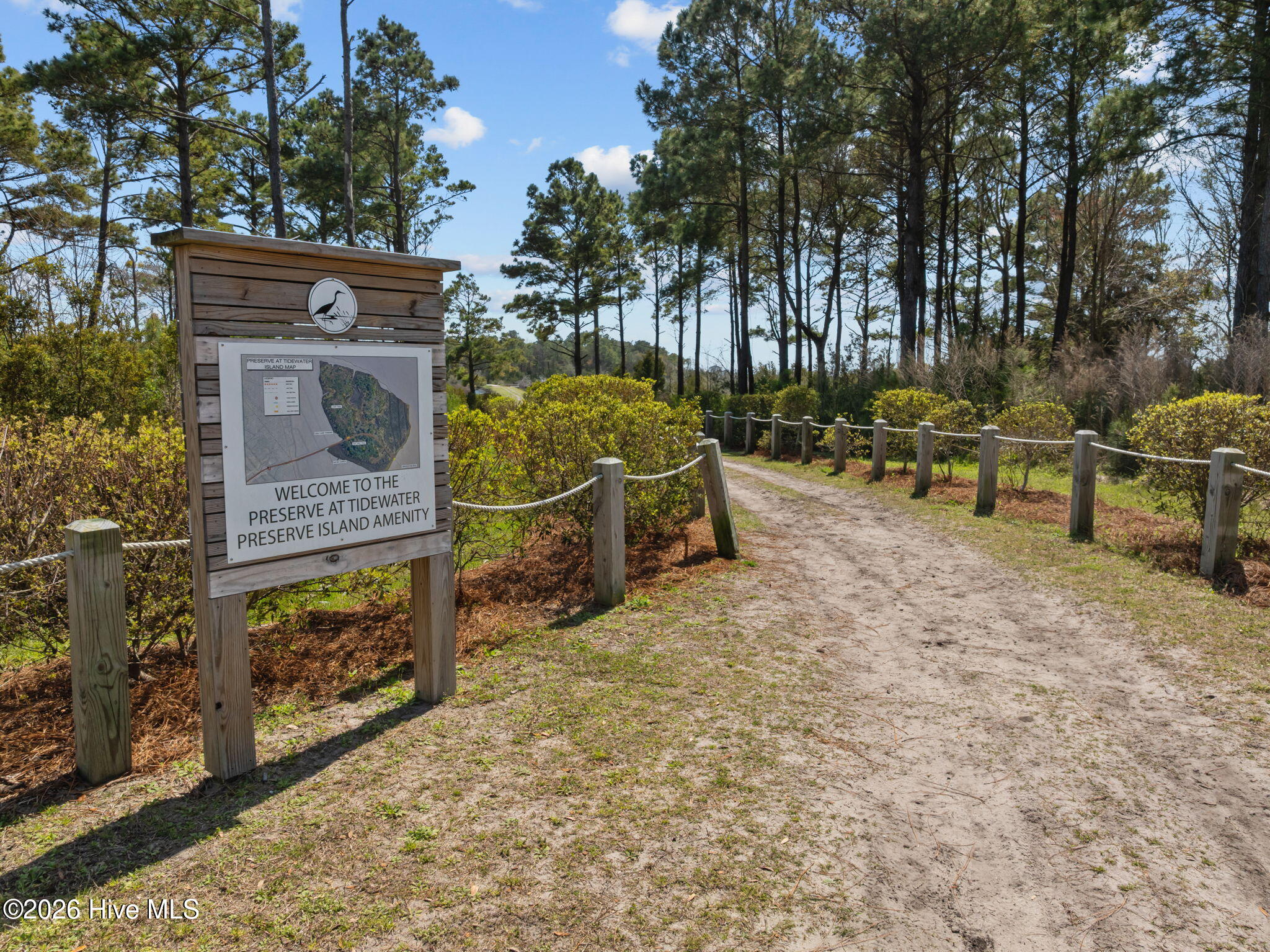 100564273 | Photo 47