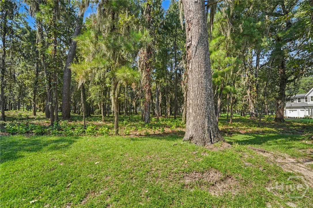 Photo 3 of Land for sale at 183 Little Lulu Ln, Richmond Hill, GA 31324 | MLS# SA363143 | Listing updated on 2026-09-18
