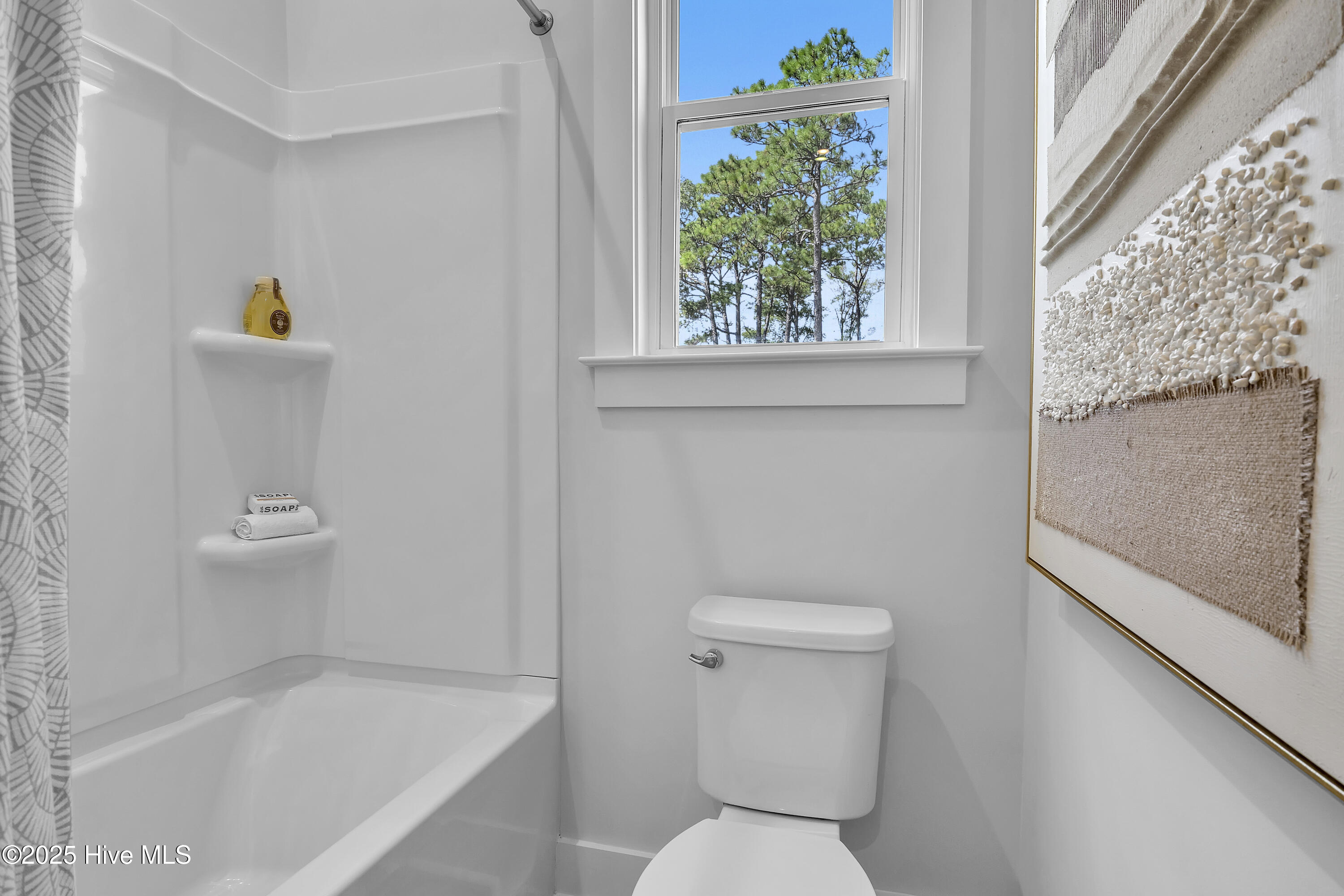 100533746 | Photo 44