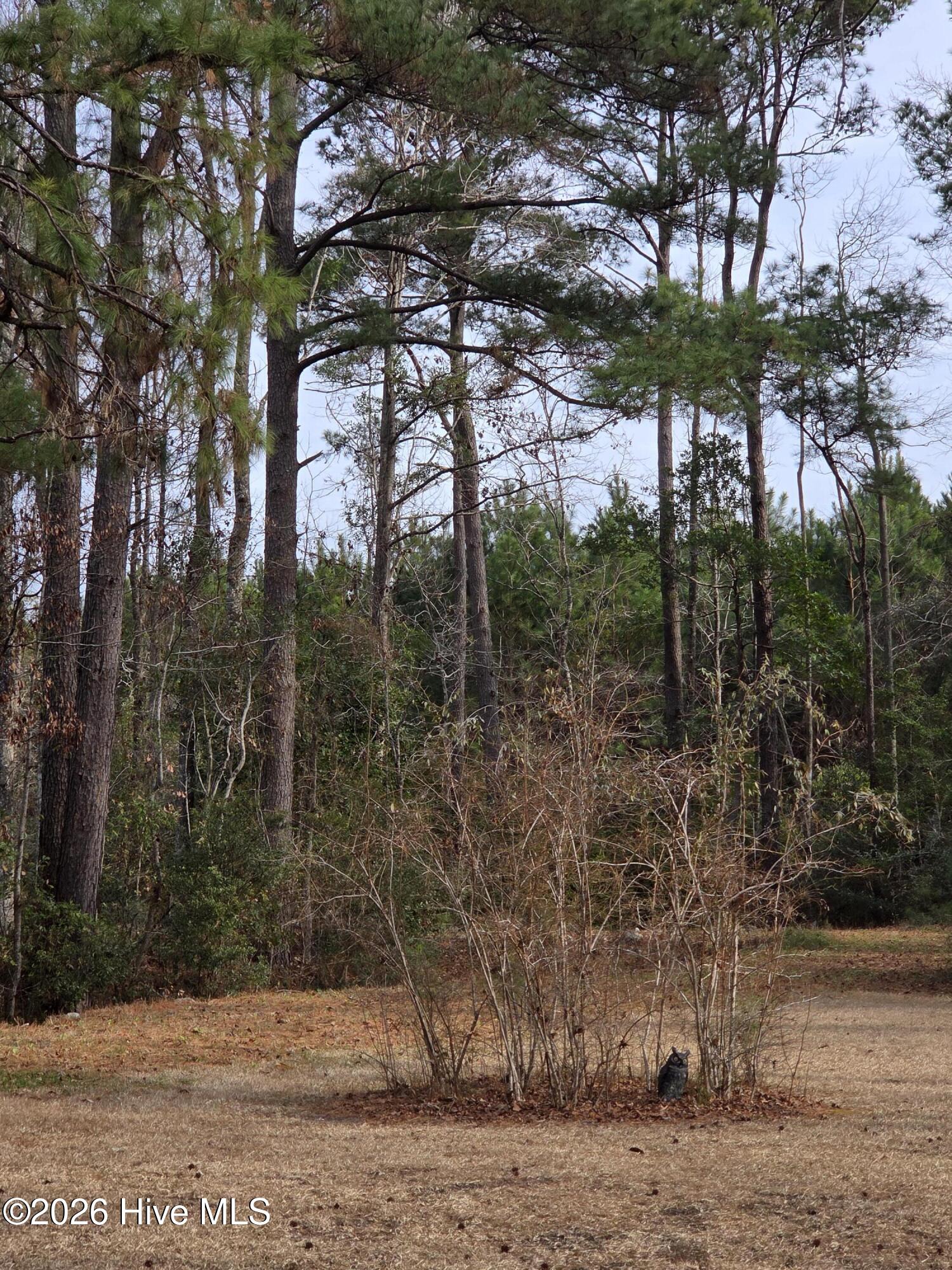 100551220 | Photo 19