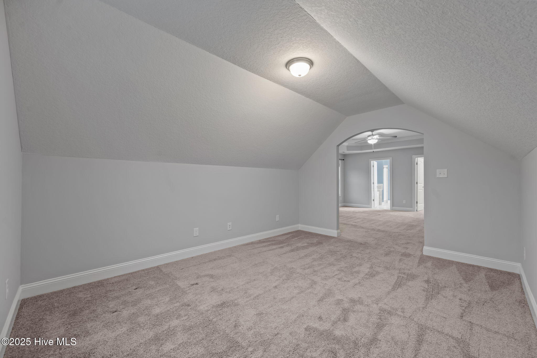 100546681 | Photo 30