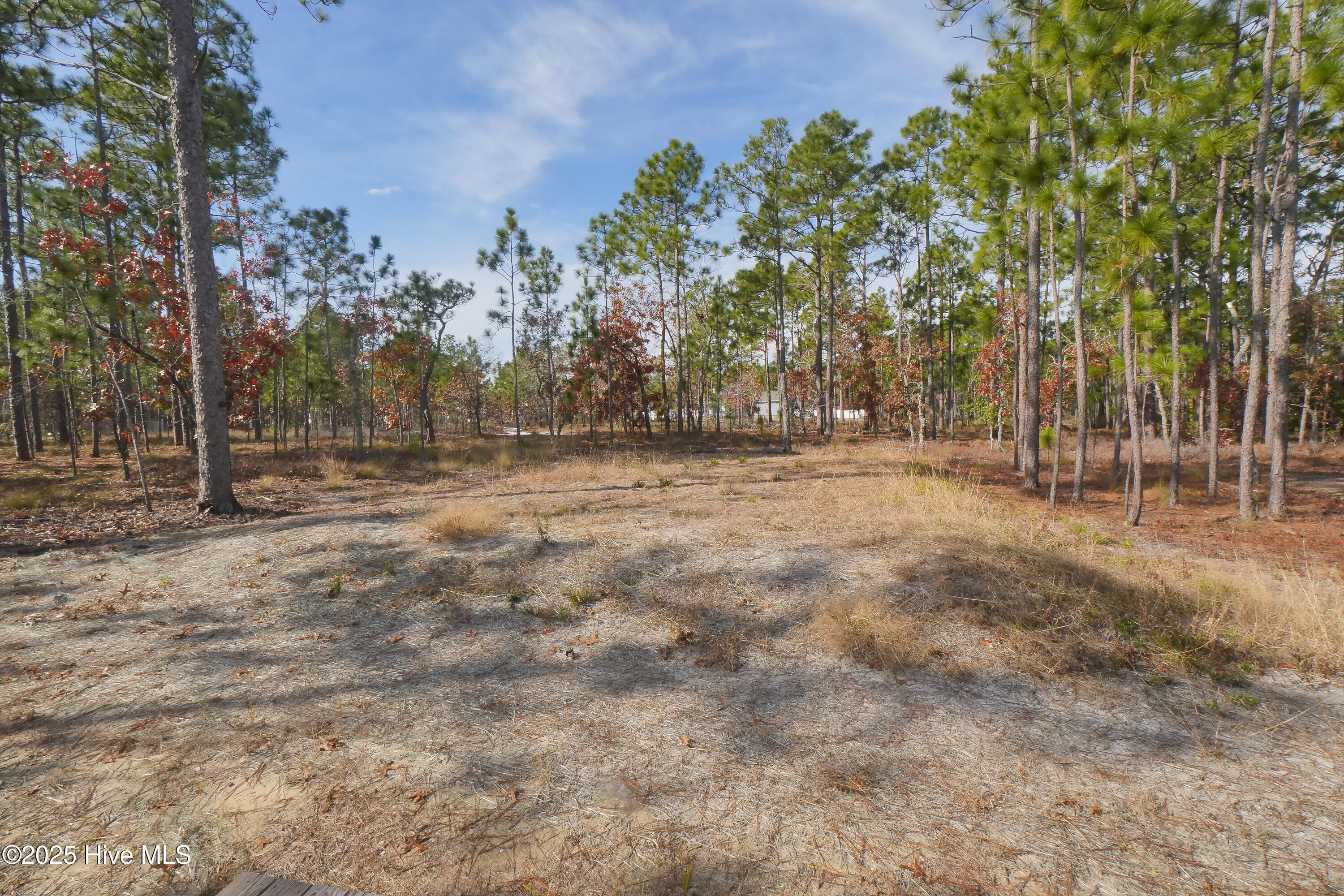 100545694 | Photo 24