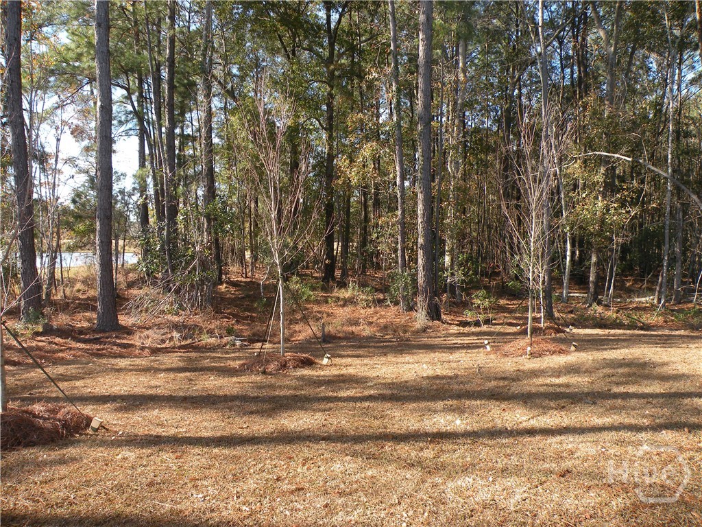 Wooded Back View