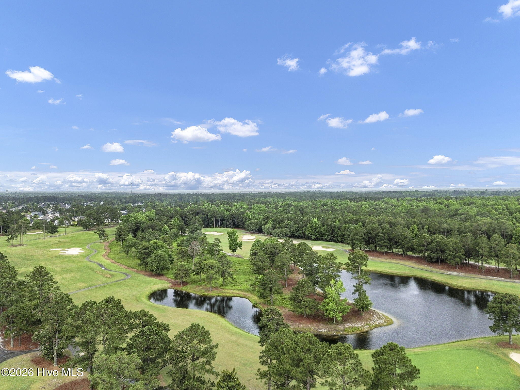 100557033 | Photo 41