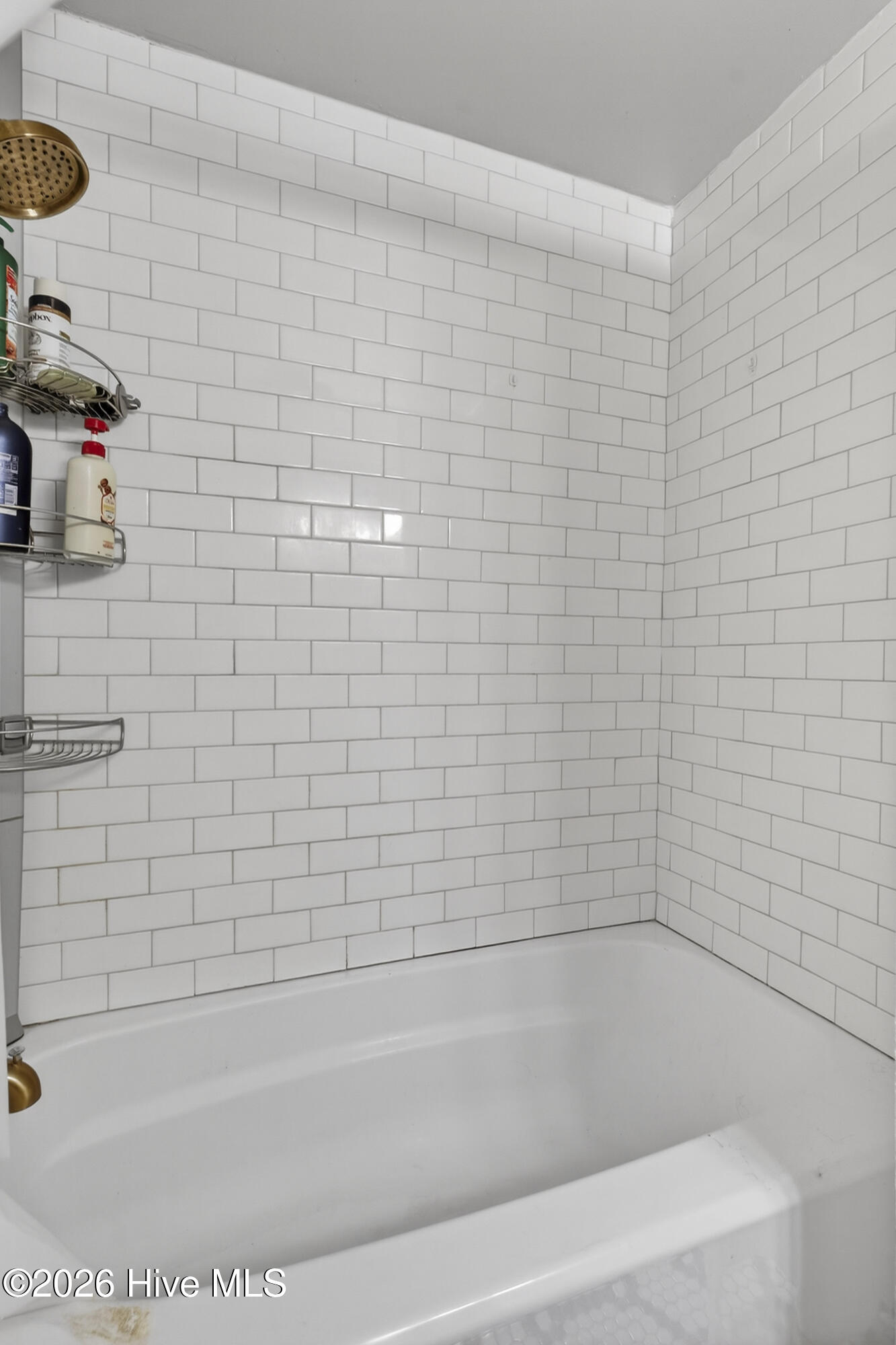 100558710 | Photo 34