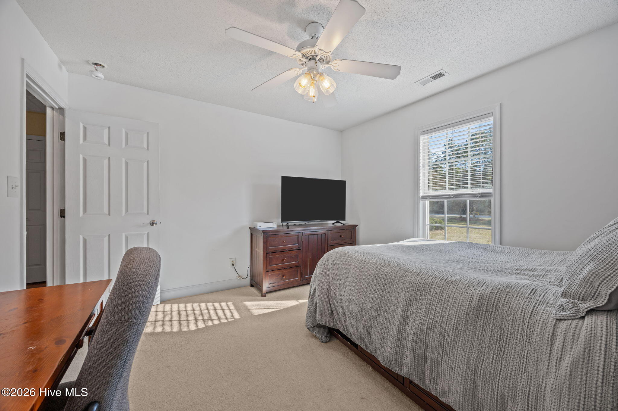 100559143 | Photo 24