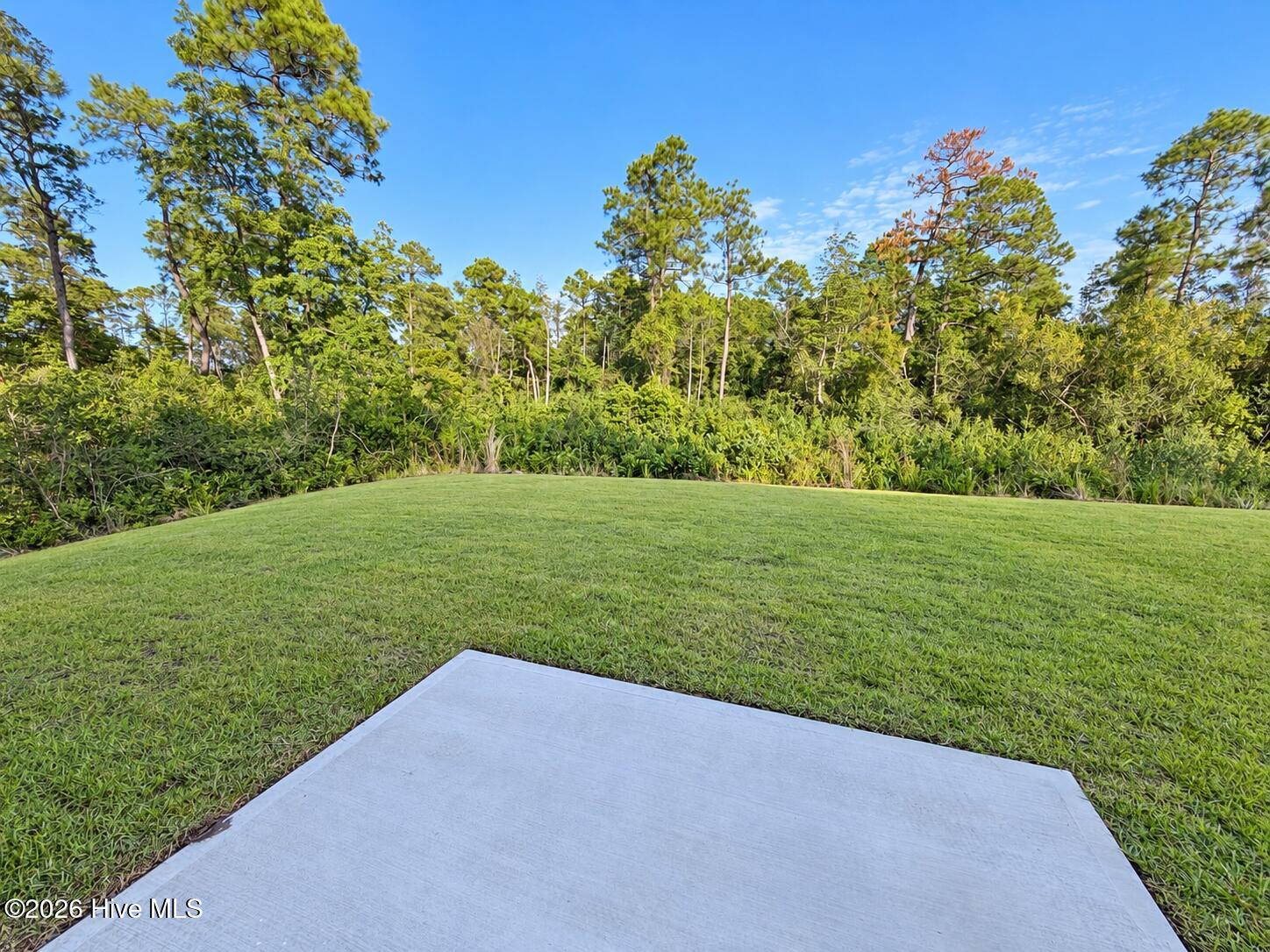 4311 Coralbead Lane 93, Leland, NC 28451 – photo 21