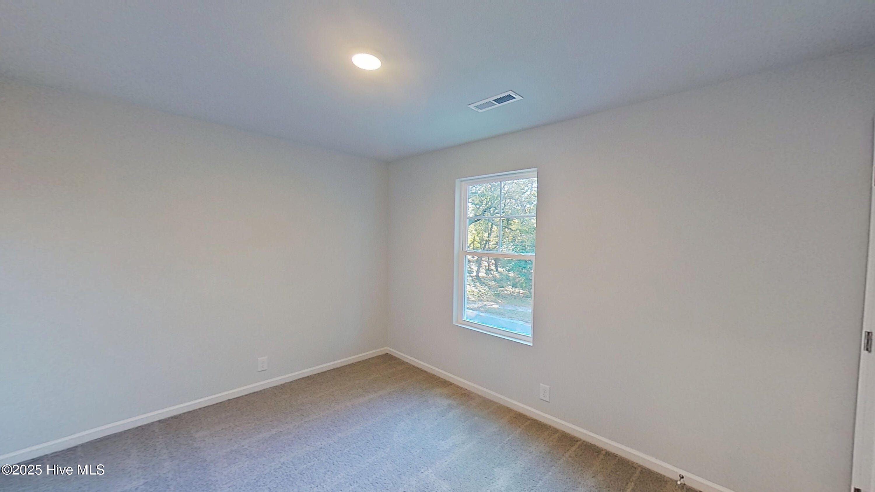 100545762 | Photo 18