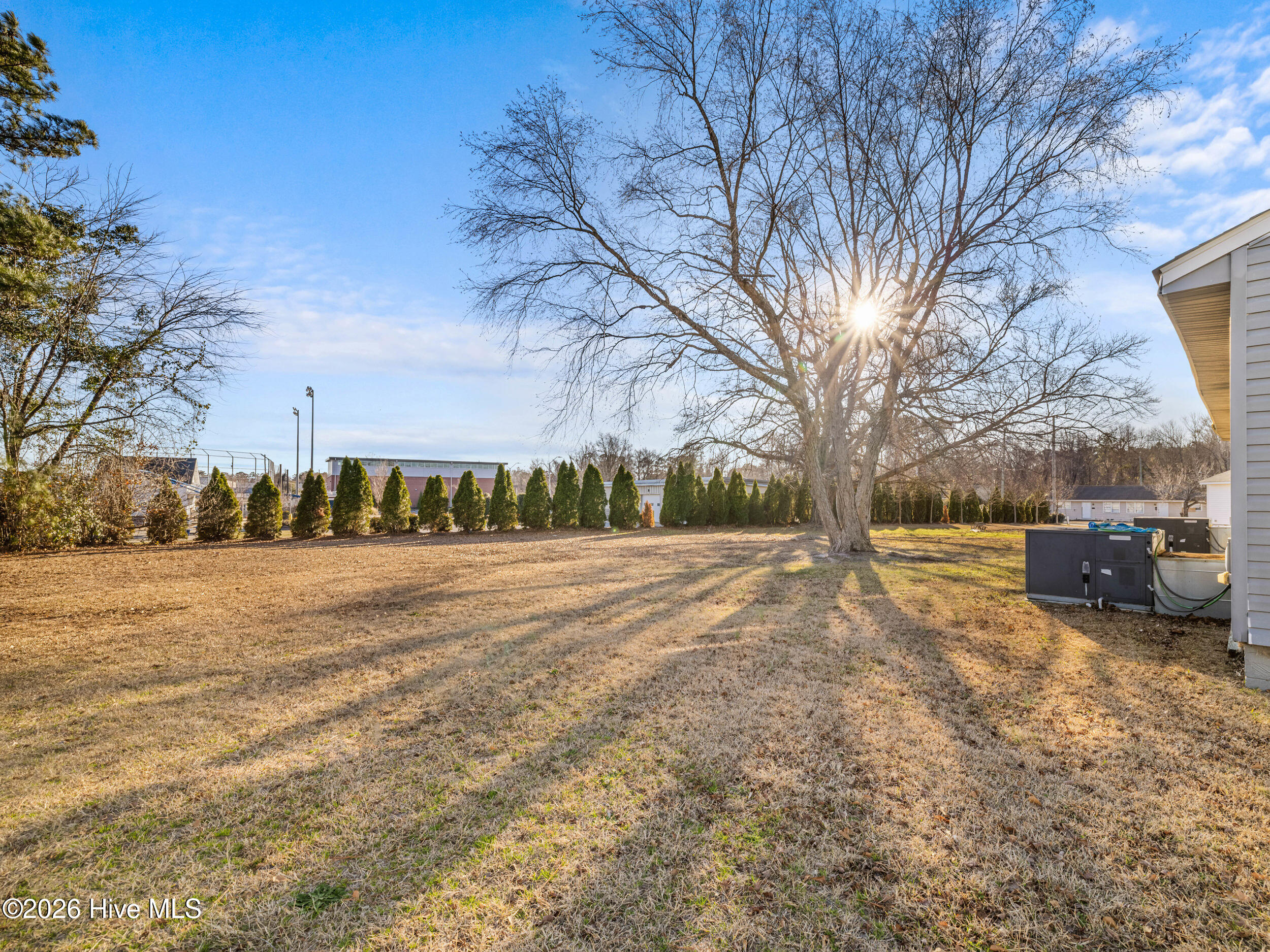 100549038 | Photo 10