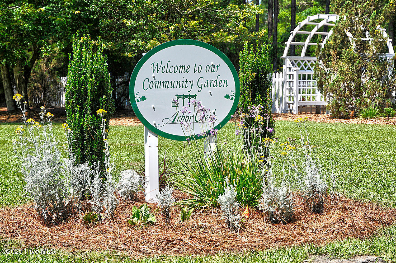 100537536 | Photo 54