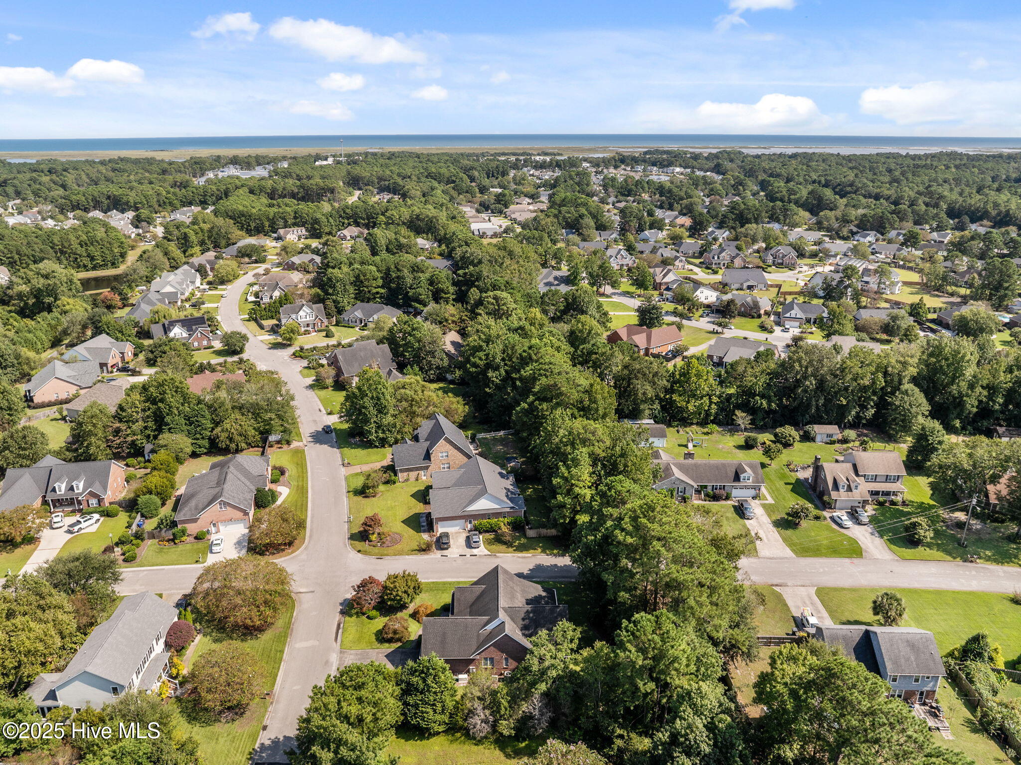 100532156 | Photo 38