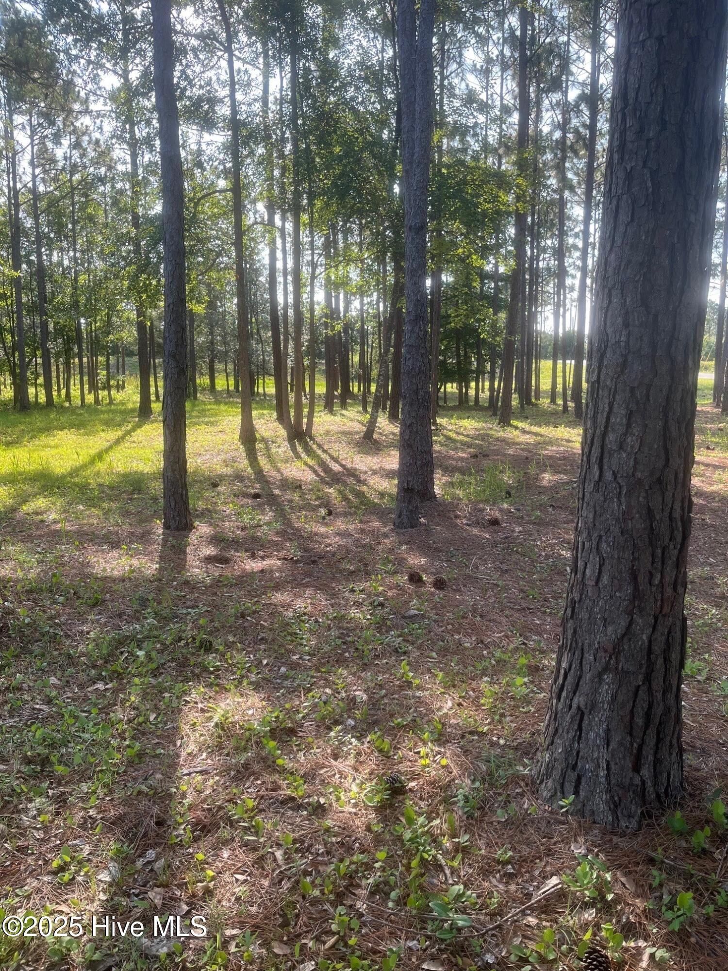 100512756 | Photo 56