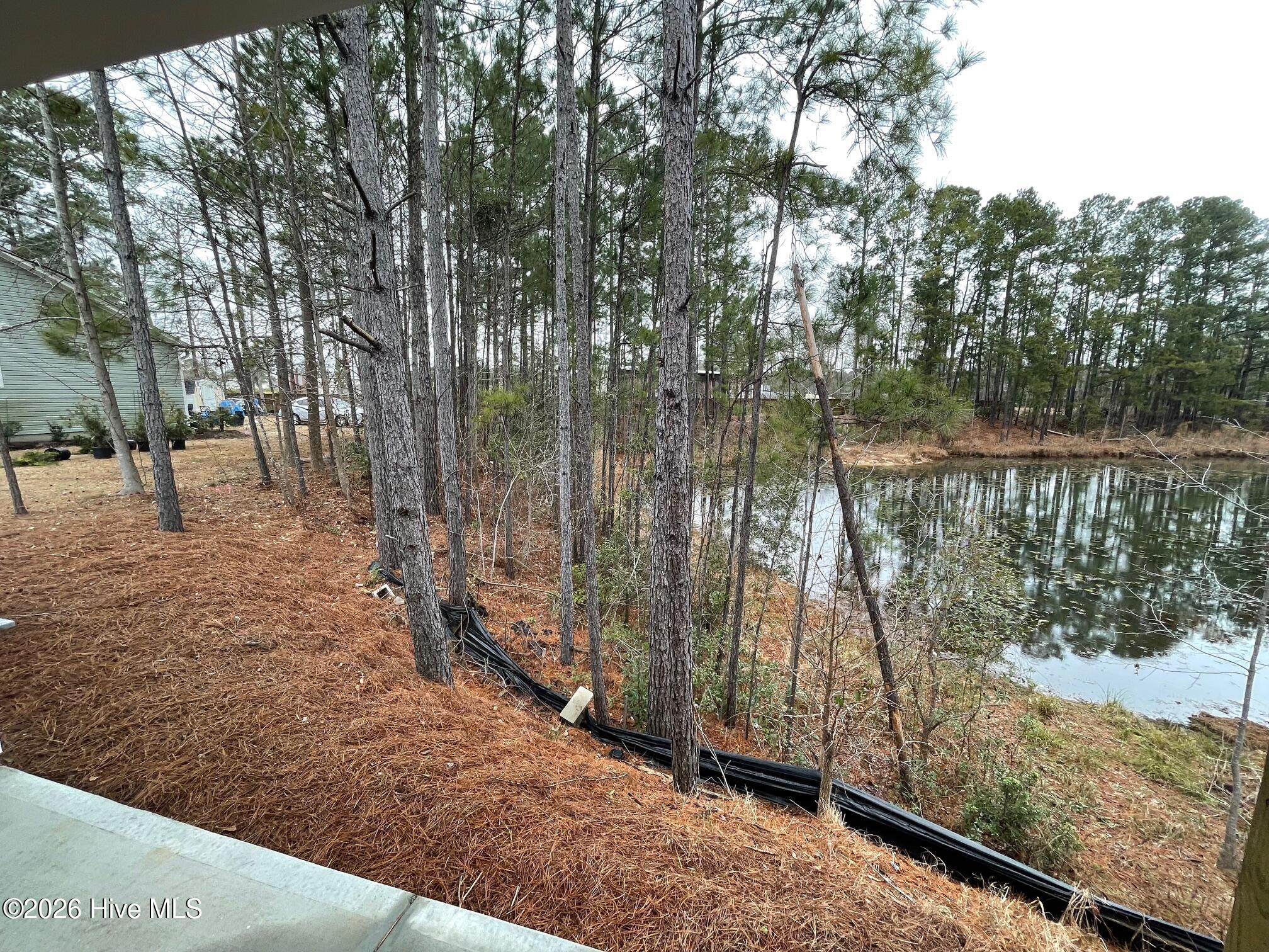 100552862 | Photo 20