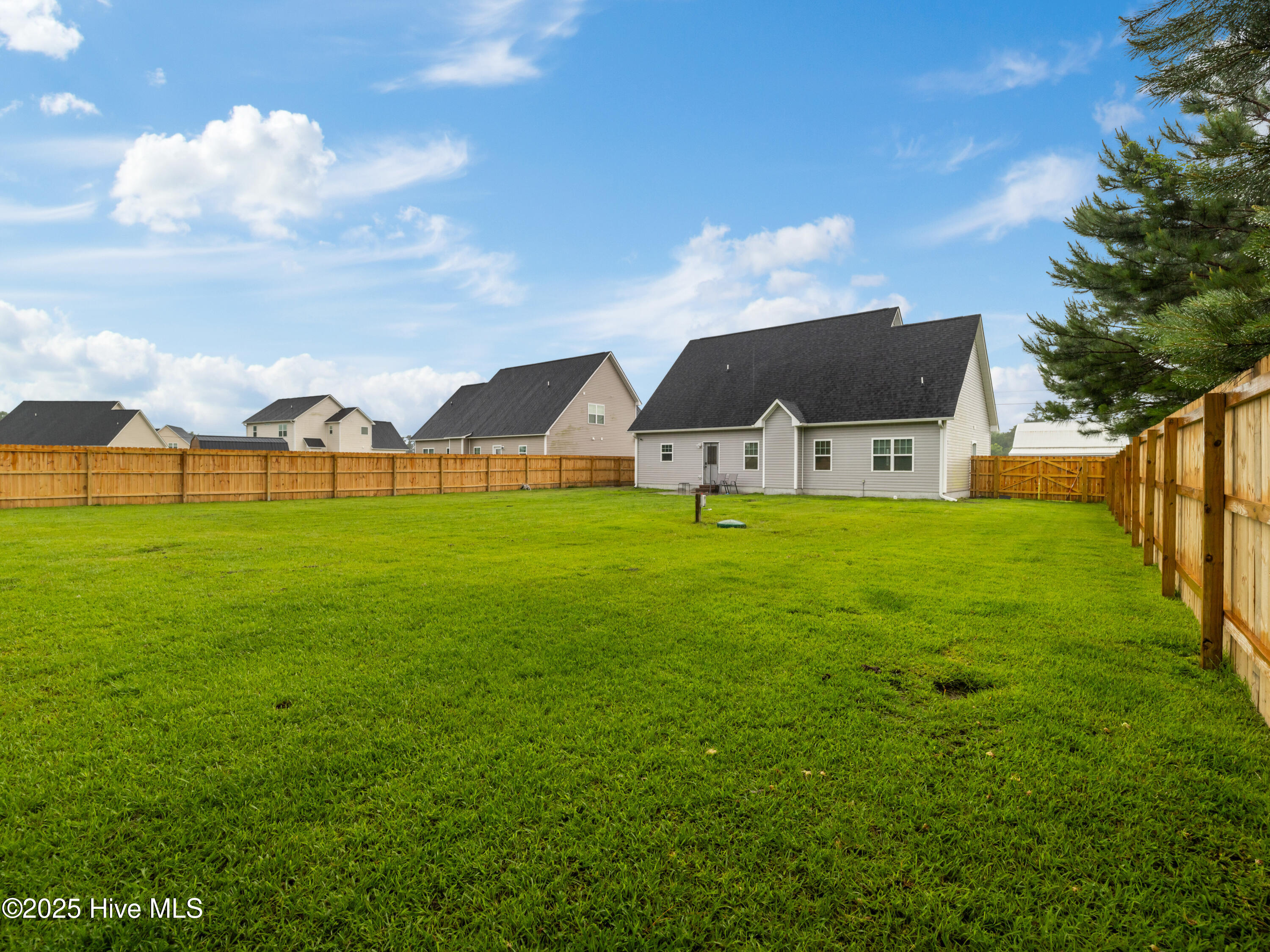 100512056 | Photo 10