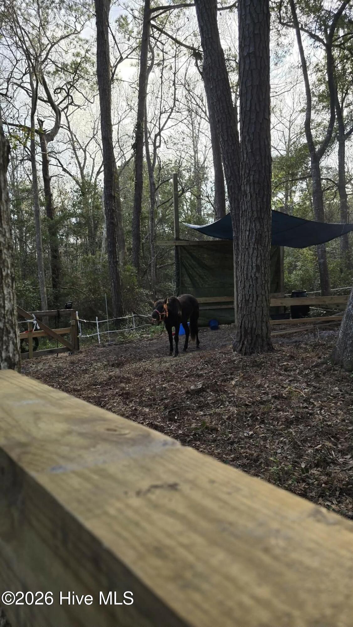 100547303 | Photo 71