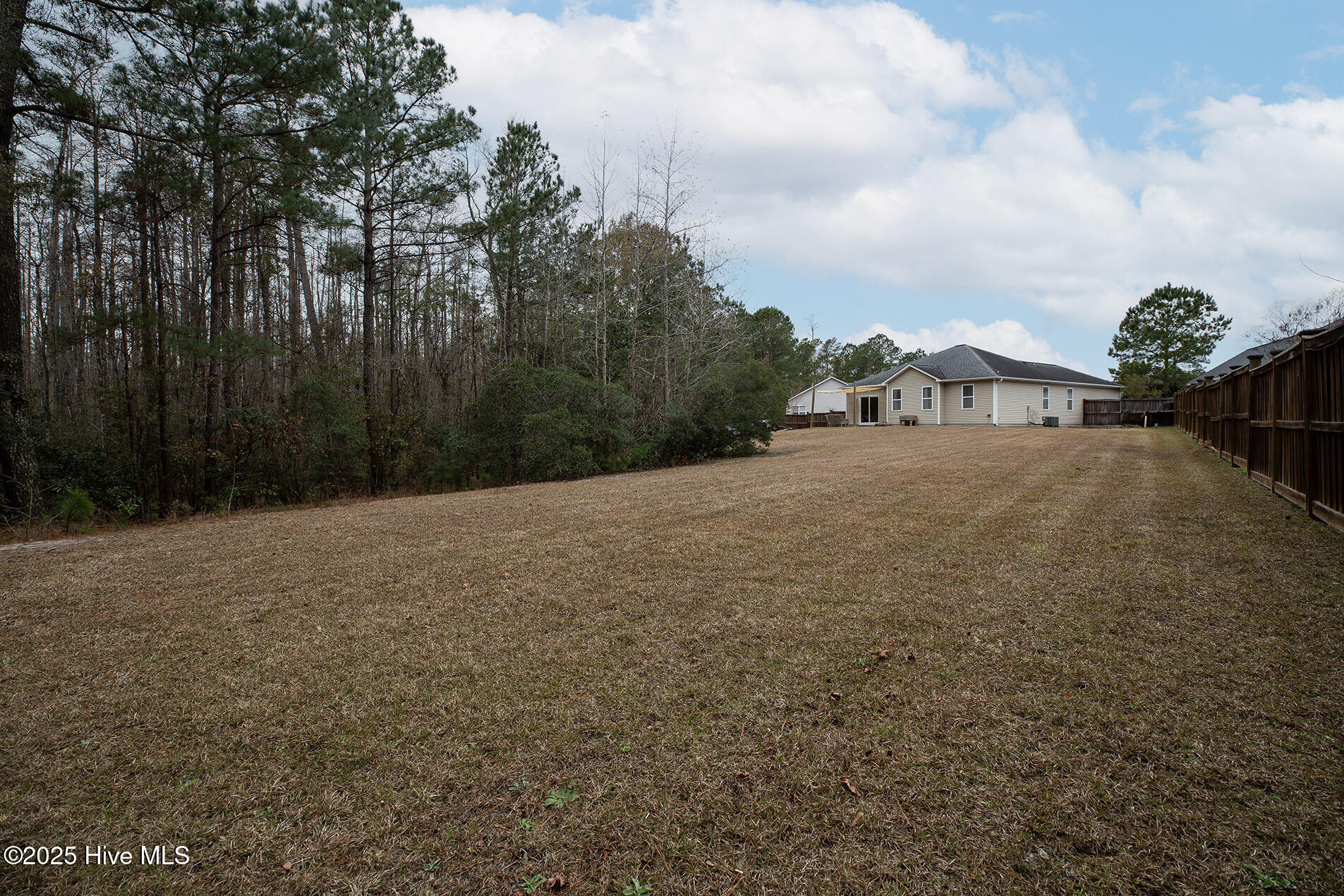 100546860 | Photo 39