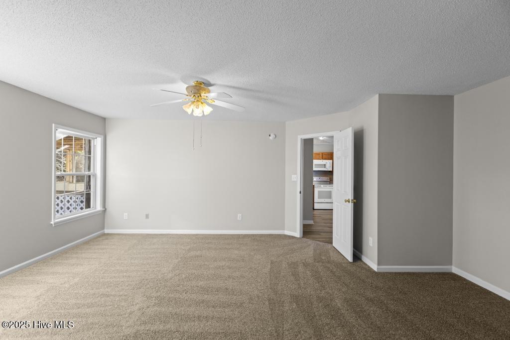 100546857 | Photo 42