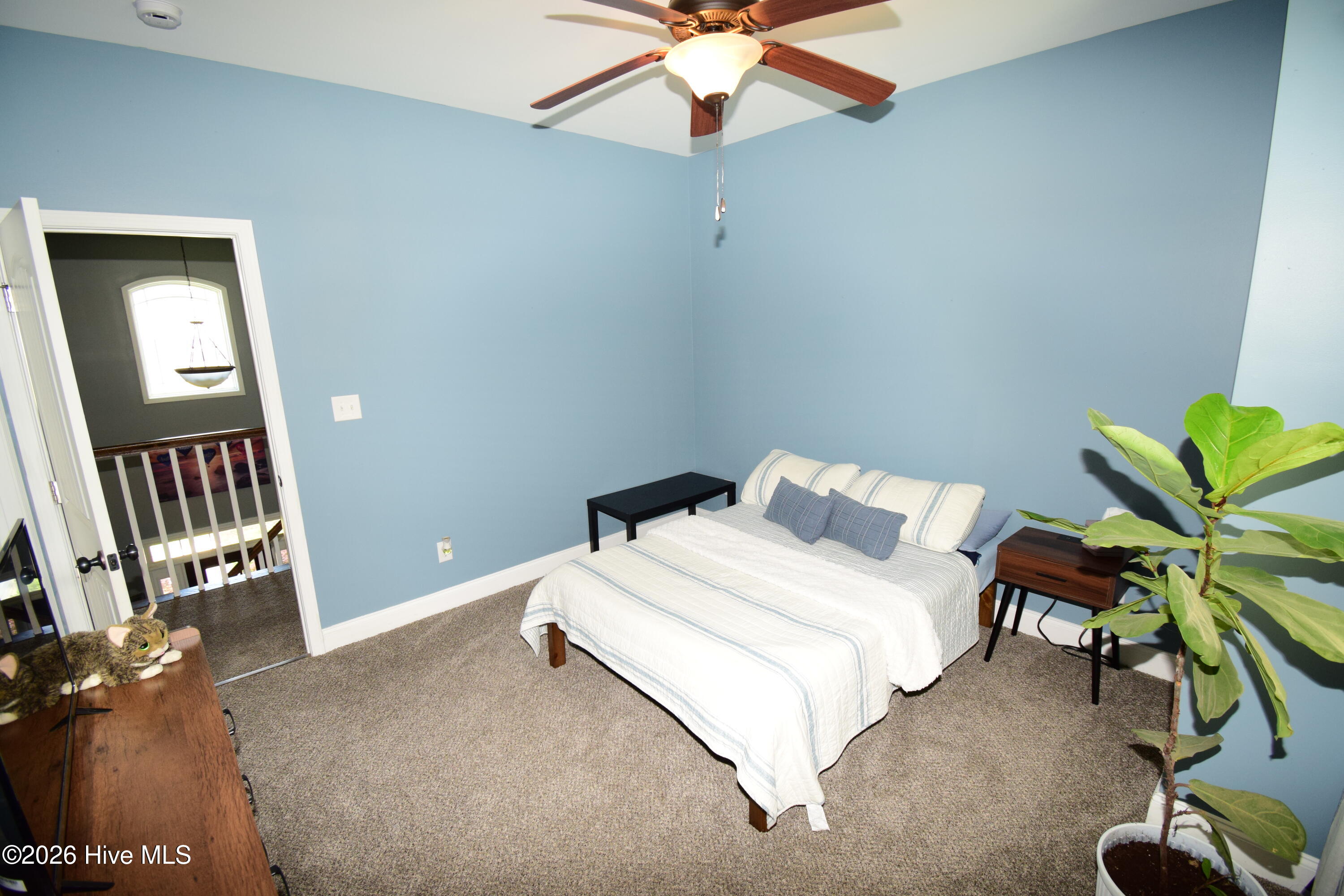 100566647 | Photo 37