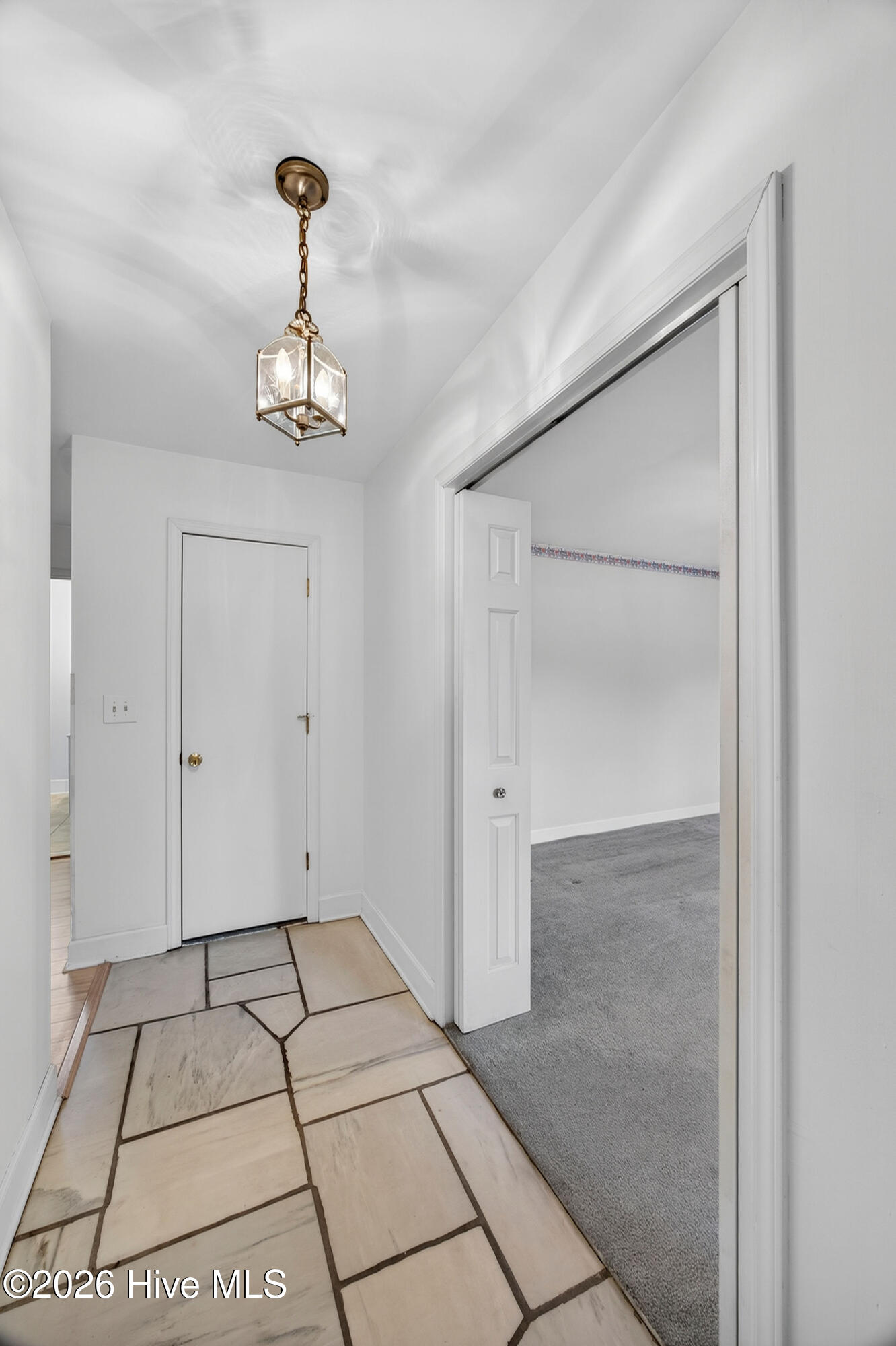 100556138 | Photo 12