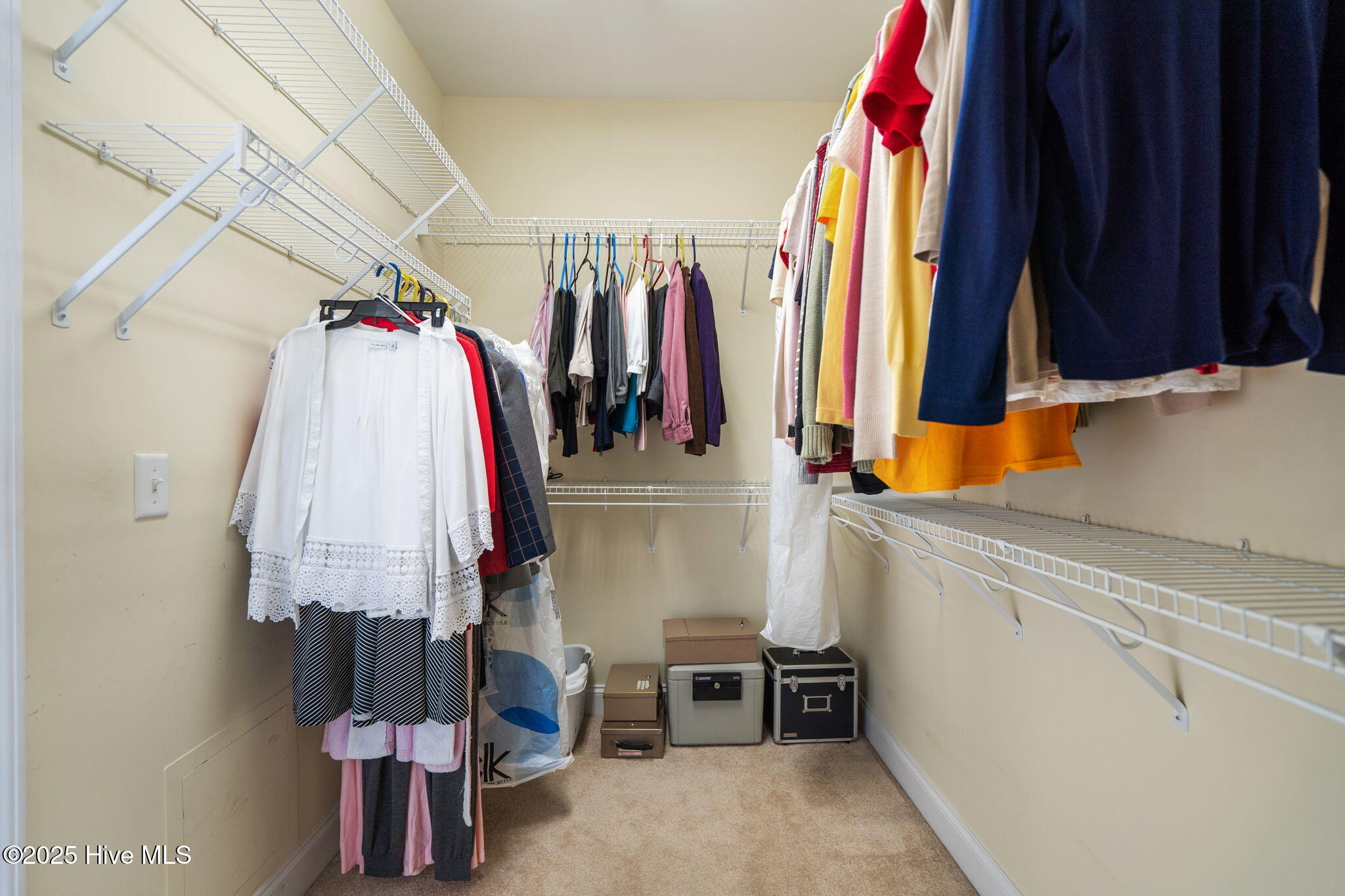 100525755 | Photo 26