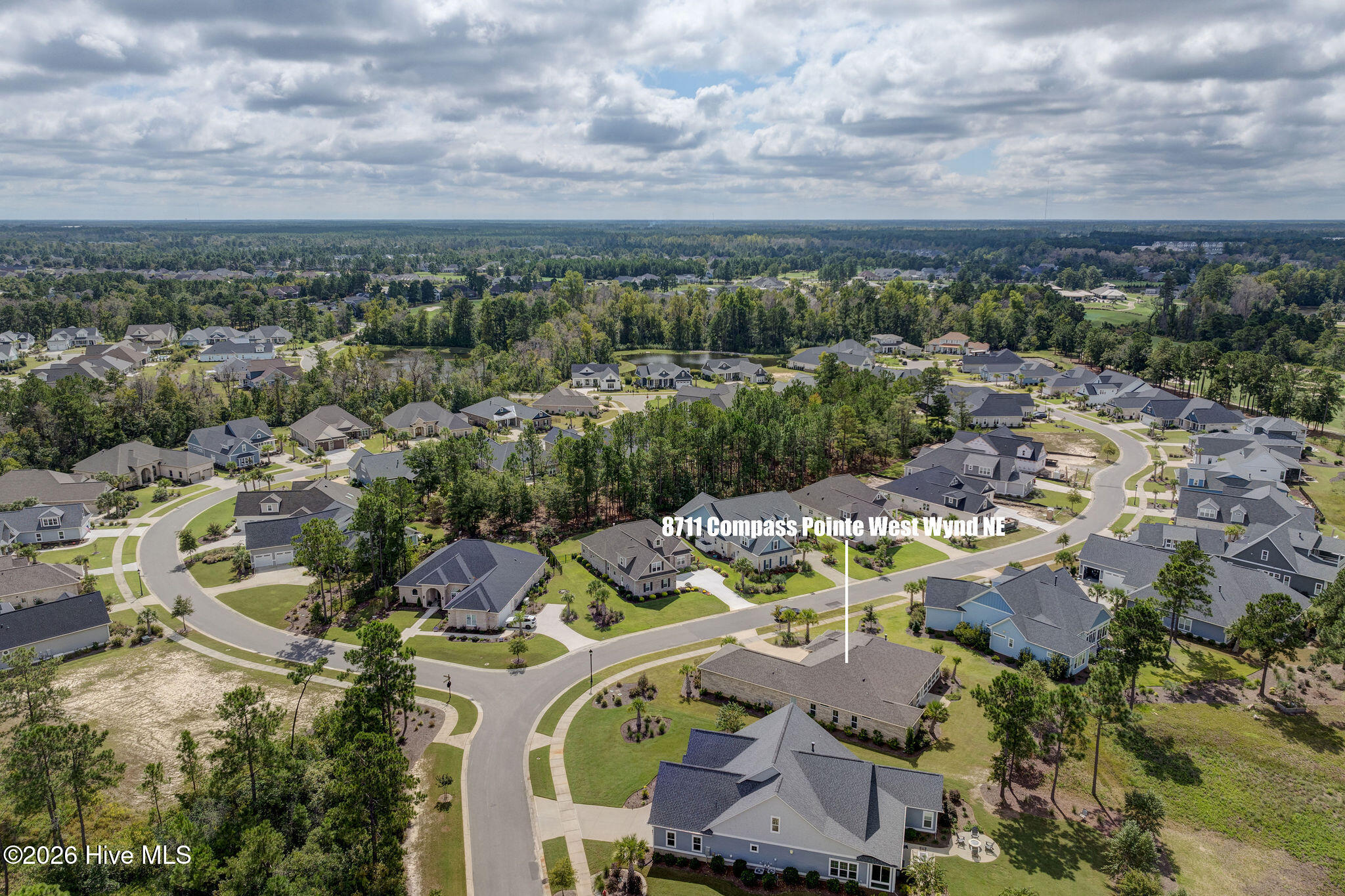 100558232 | Photo 56