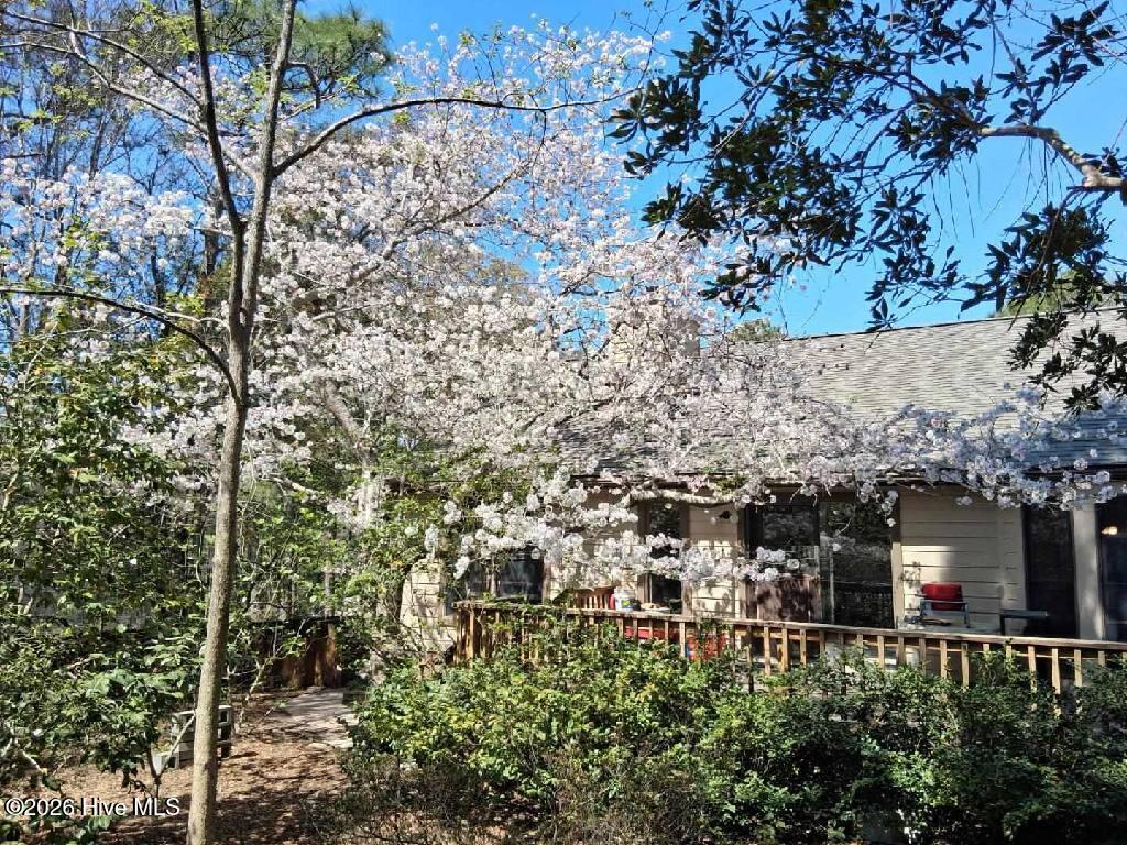 100561696 | Photo 23