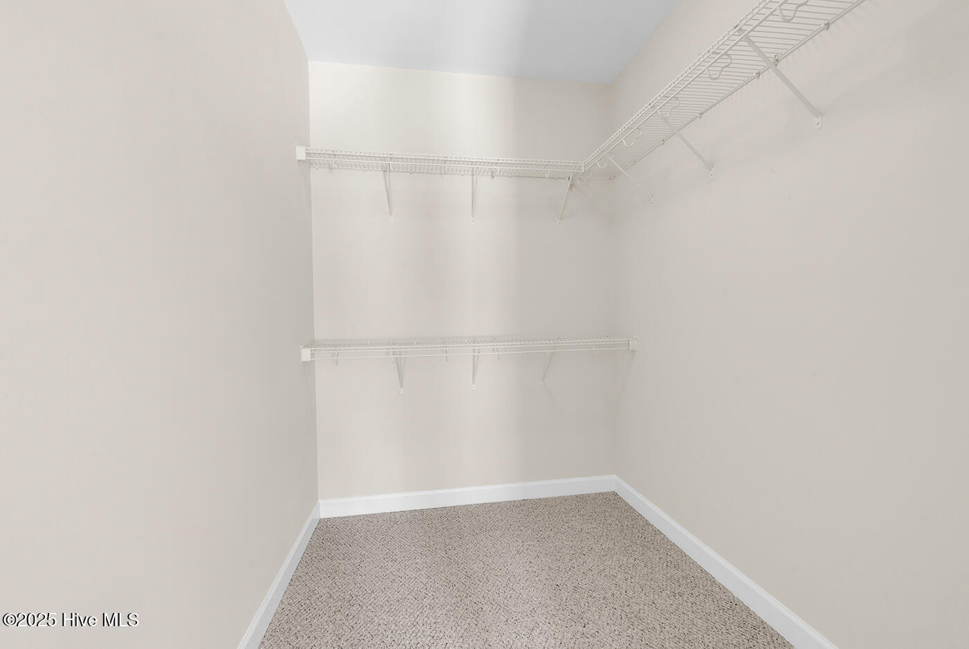 100537491 | Photo 19