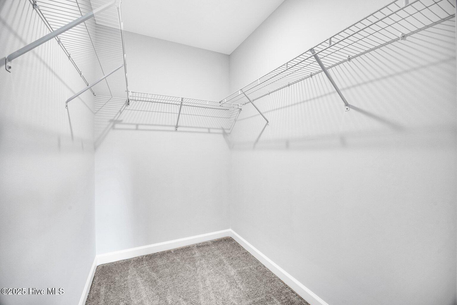 100510662 | Photo 17