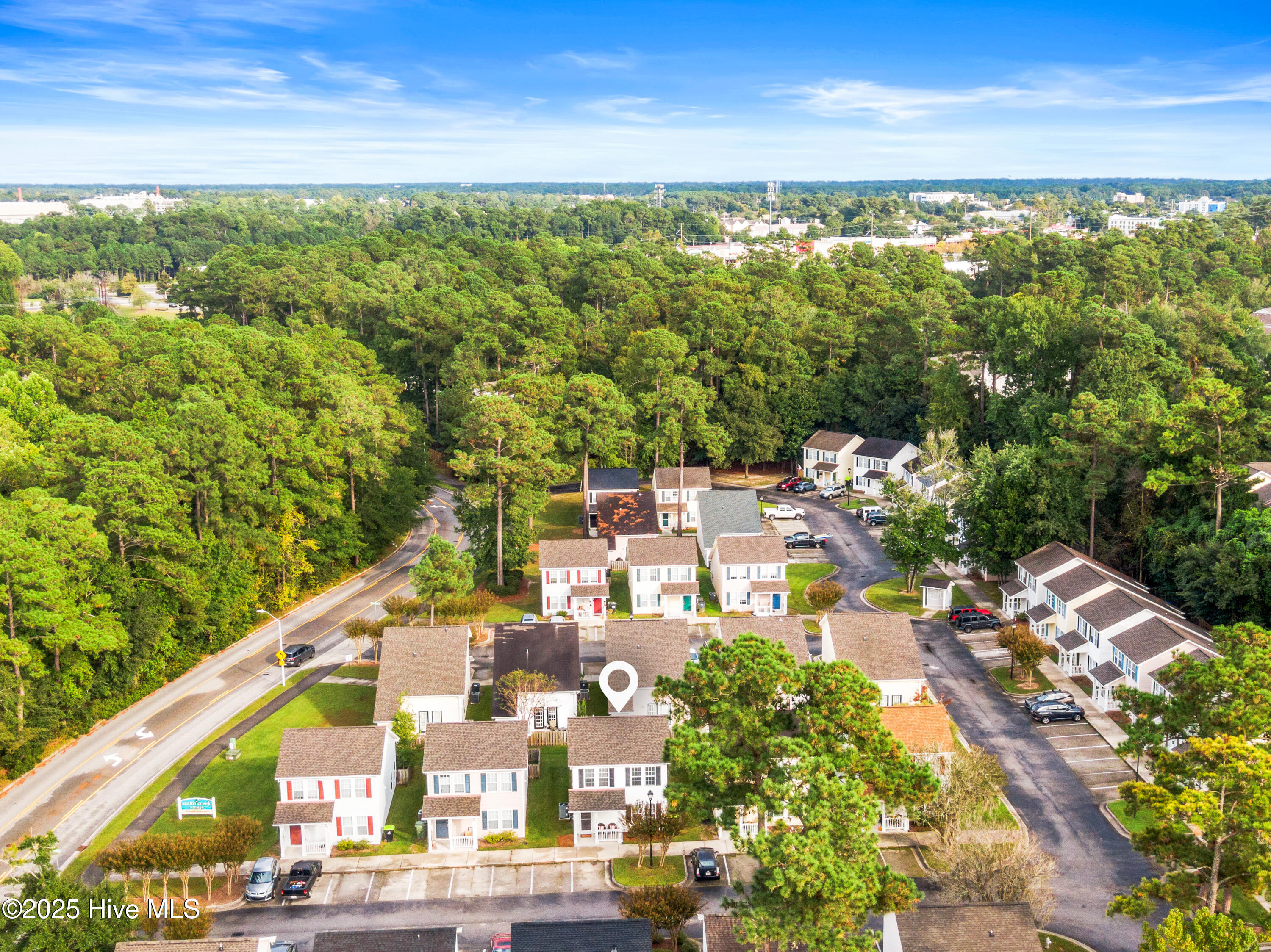 100535328 | Photo 25