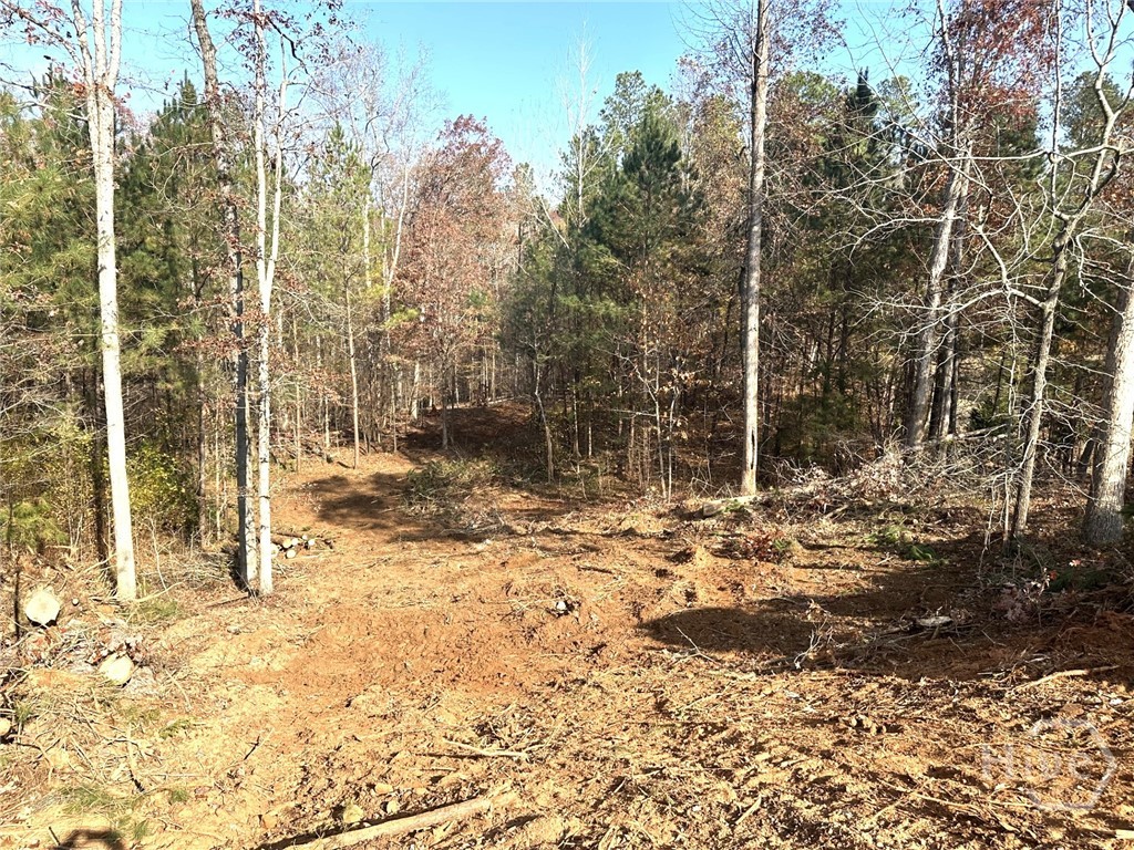 Homes for sale in Bishop, GA | 1698 Shoal Creek Way, Bishop, GA 30621 | MLS# CL344198