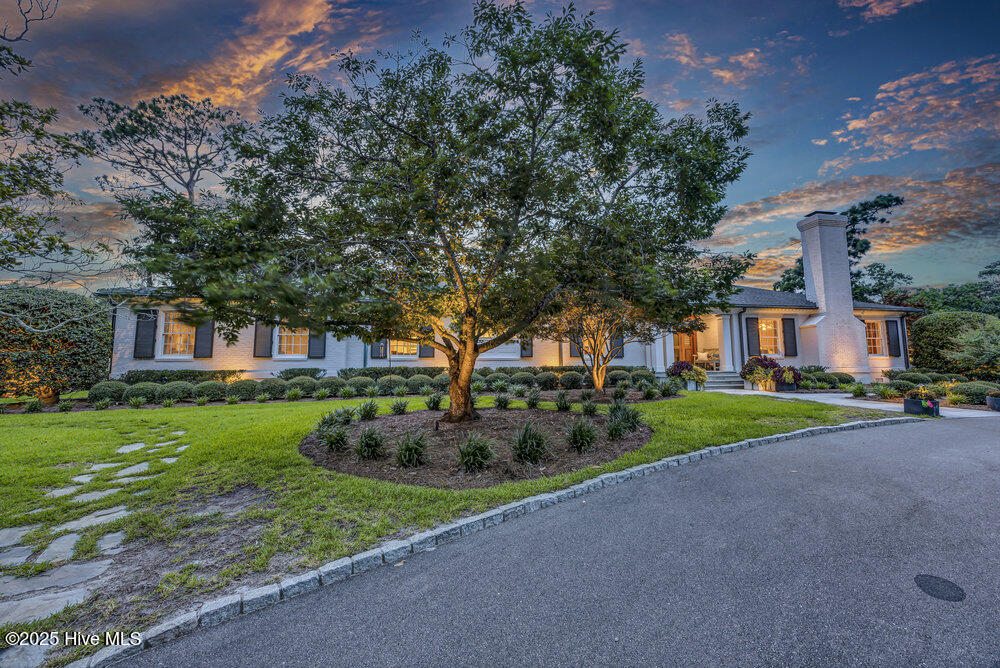 100519719 | Photo 53