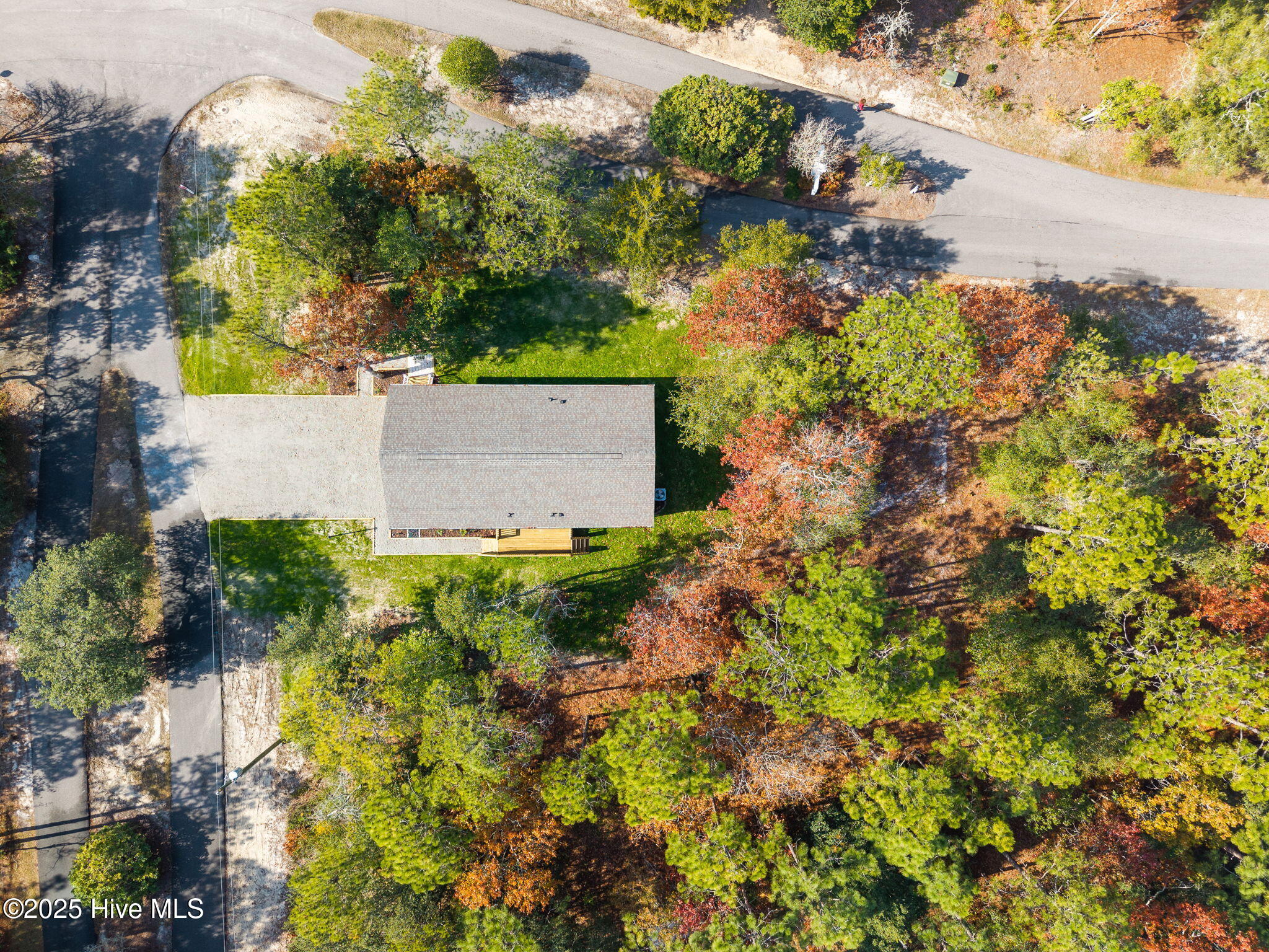 100542585 | Photo 28