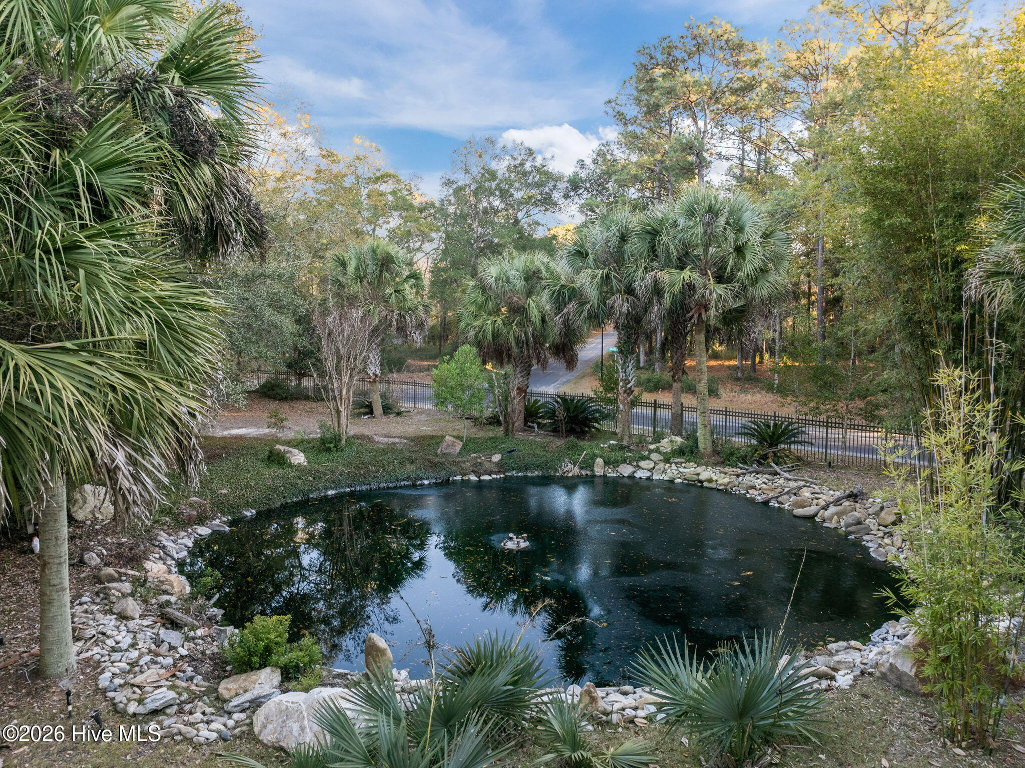 100547936 | Photo 91