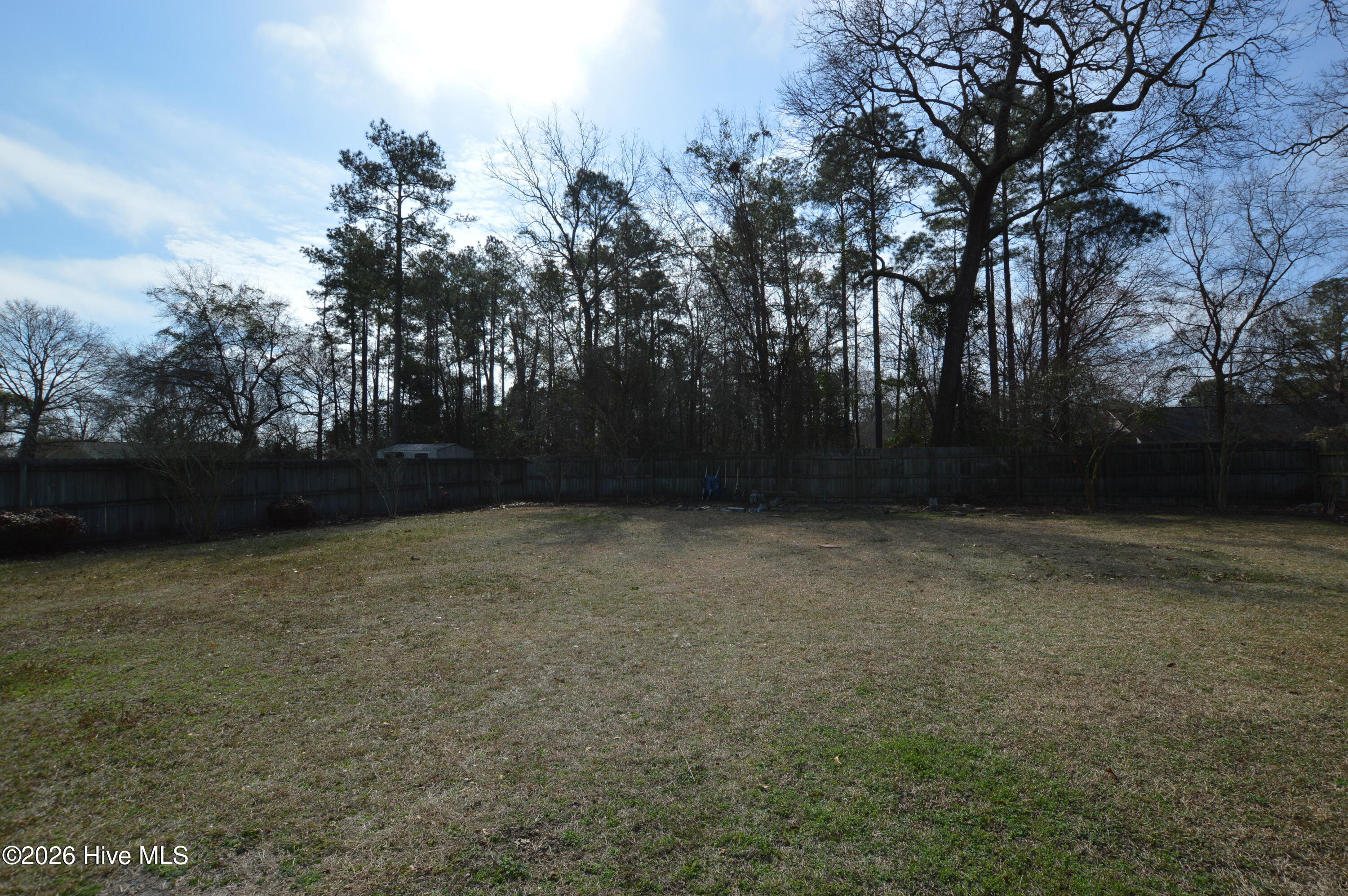 100557684 | Photo 22